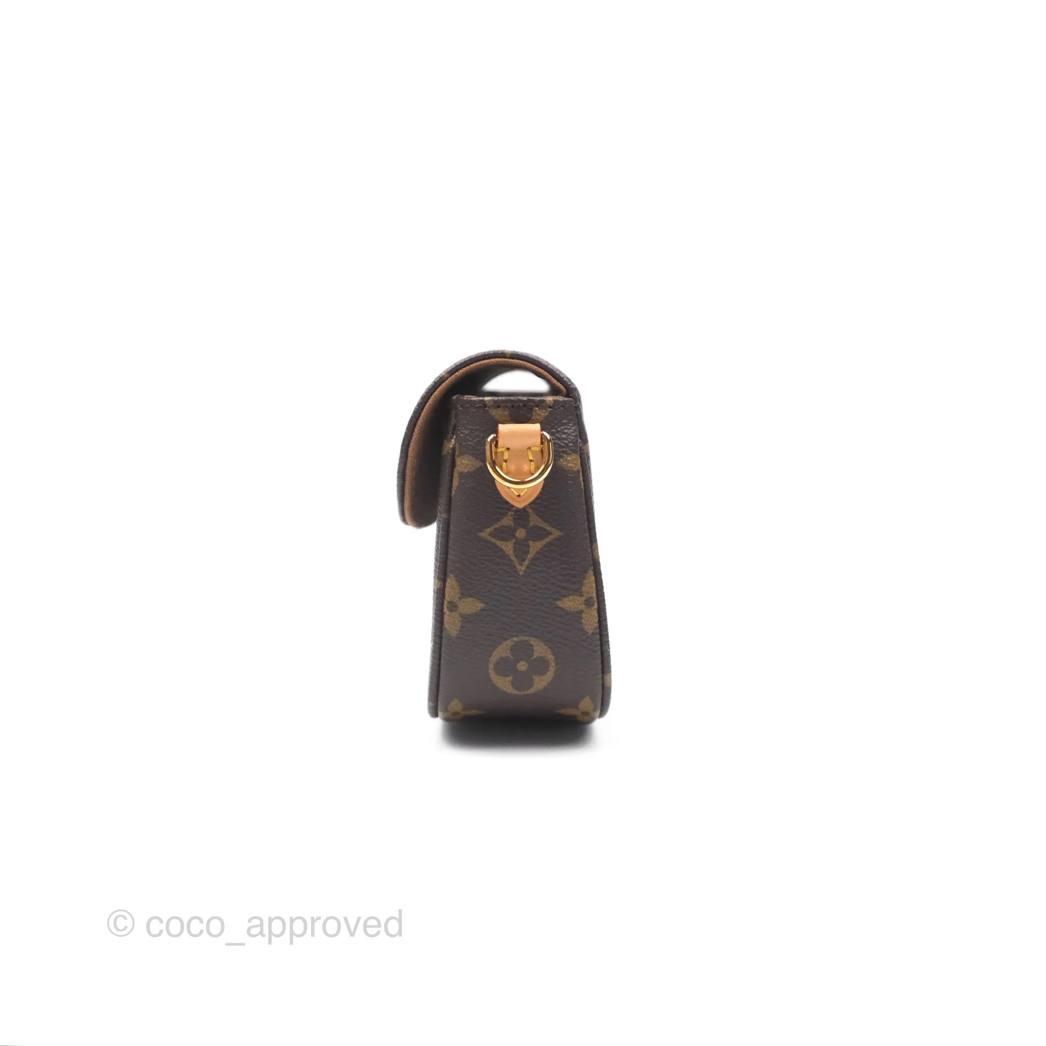 Louis Vuitton Ivy Wallet on Chain Monogram Canvas