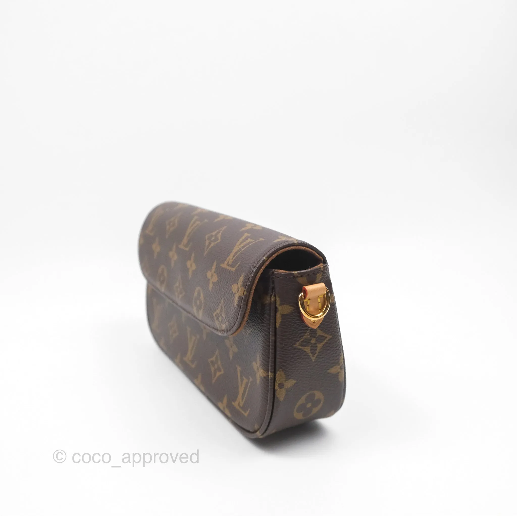 Louis Vuitton Ivy Wallet on Chain Monogram Canvas