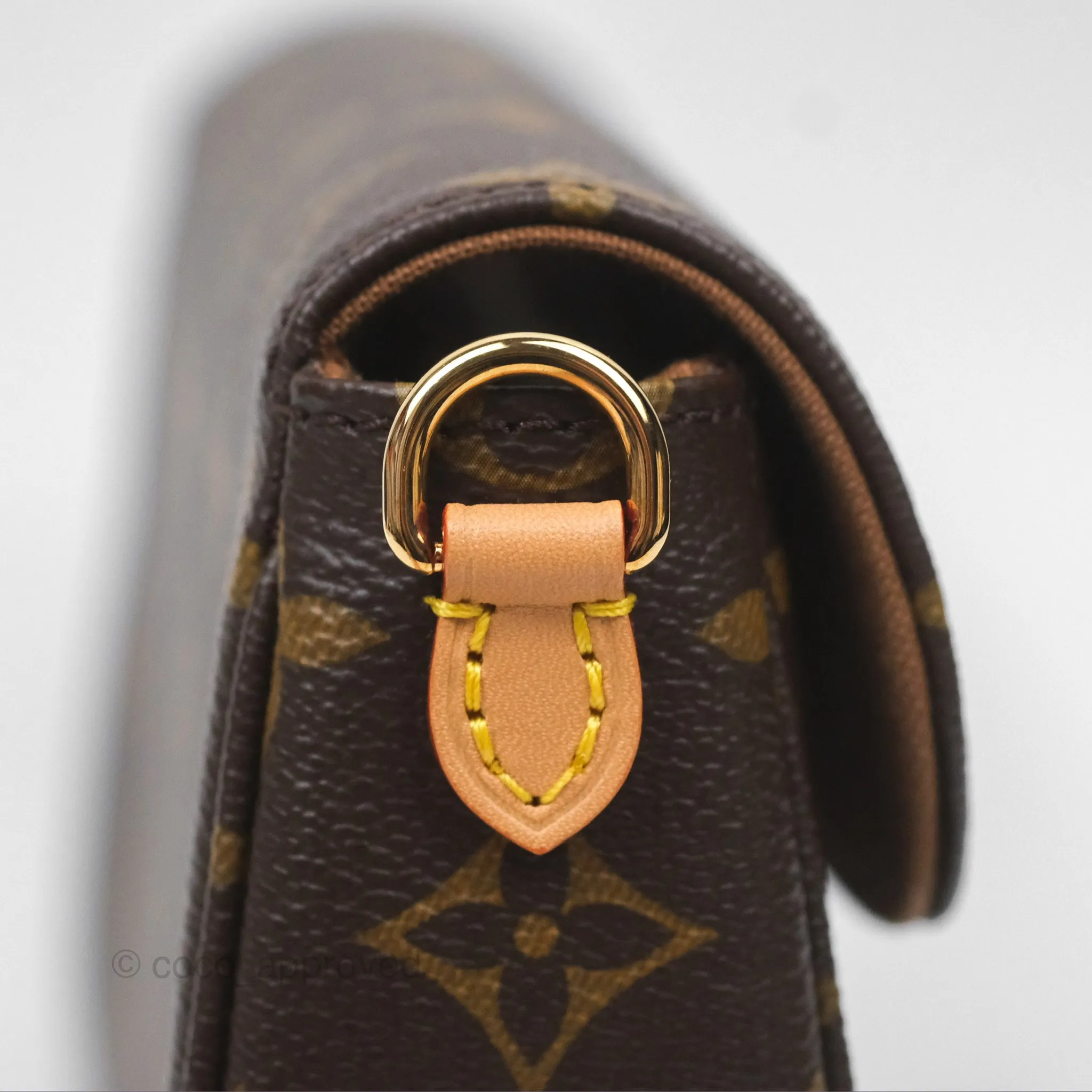 Louis Vuitton Ivy Wallet on Chain Monogram Canvas