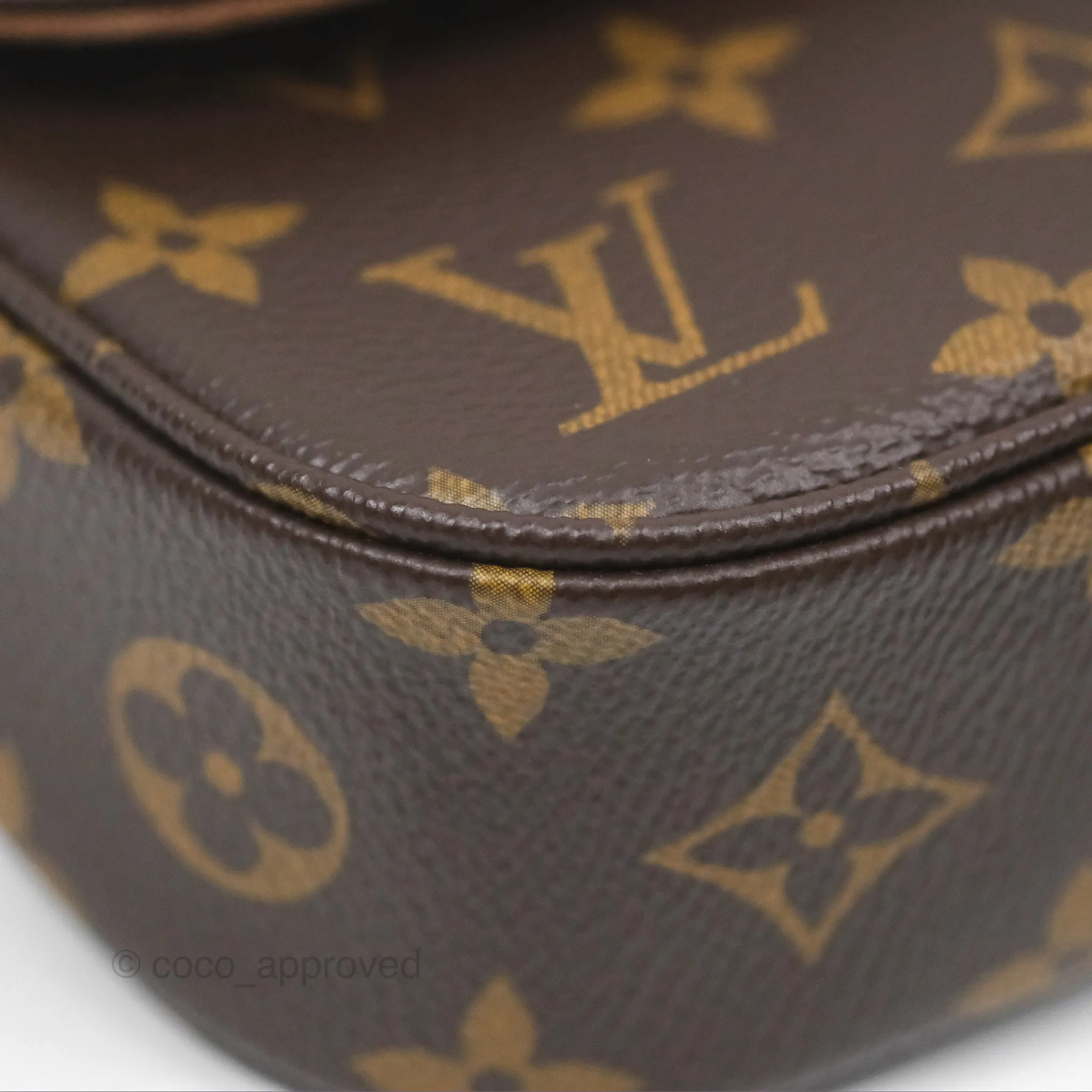 Louis Vuitton Ivy Wallet on Chain Monogram Canvas