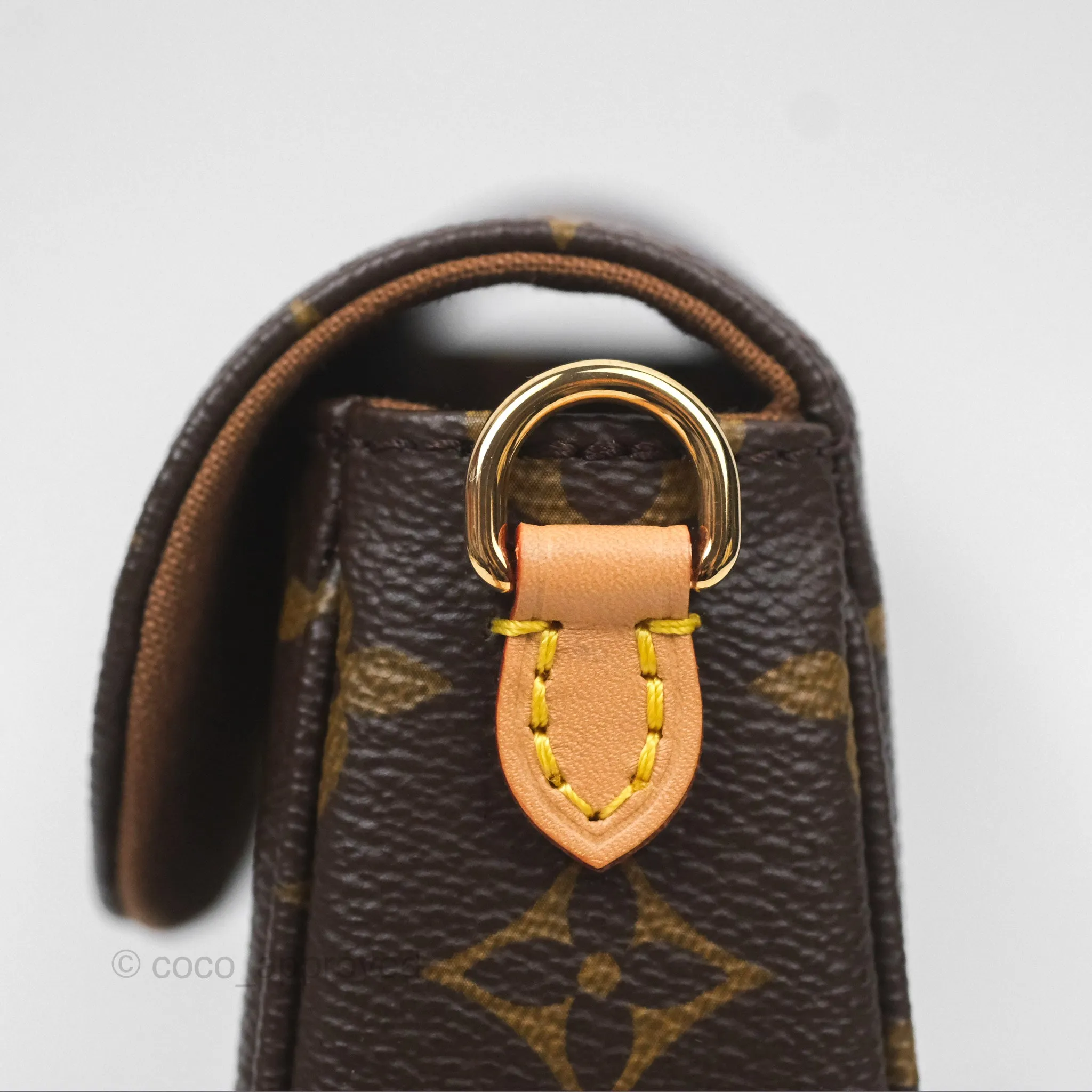 Louis Vuitton Ivy Wallet on Chain Monogram Canvas