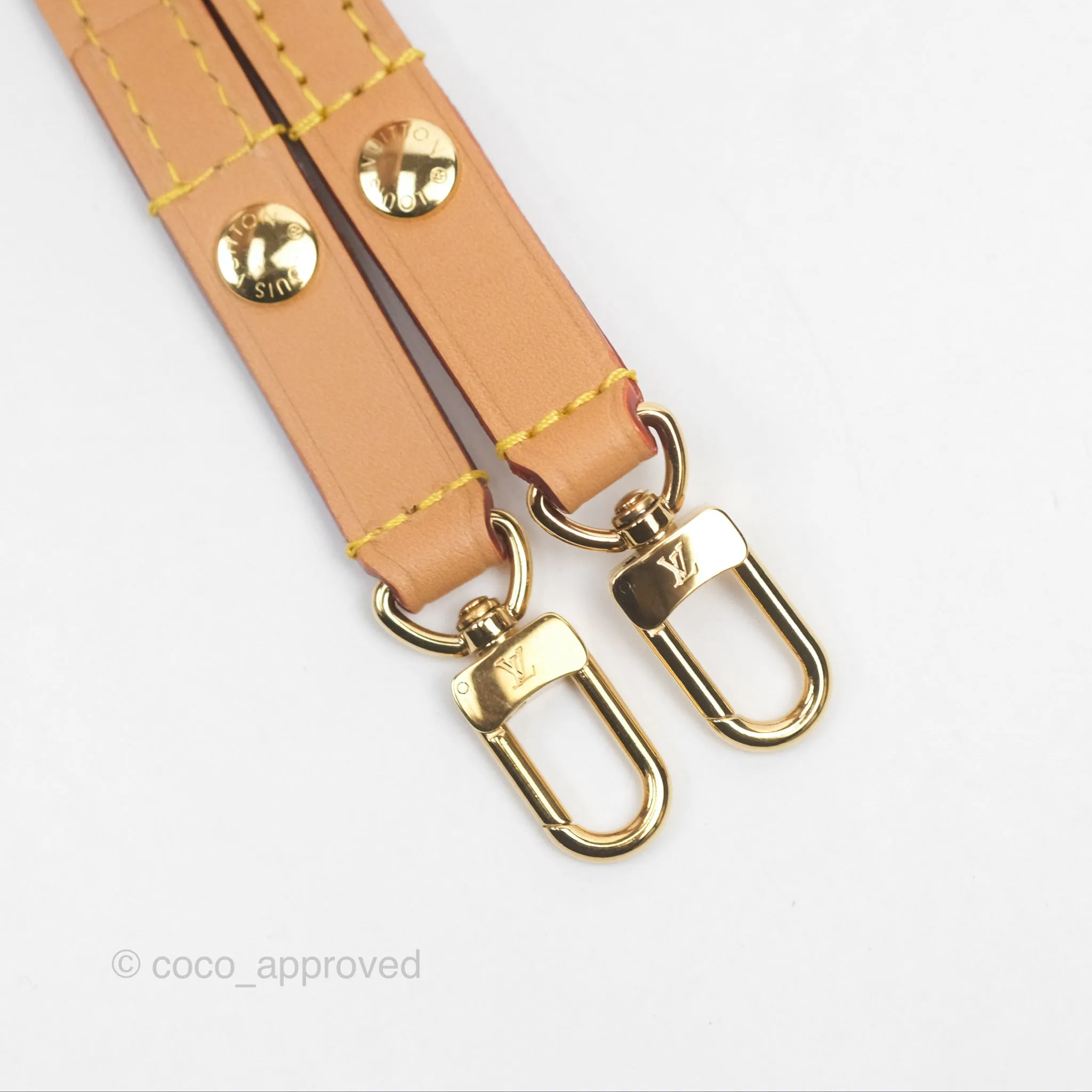Louis Vuitton Ivy Wallet on Chain Monogram Canvas