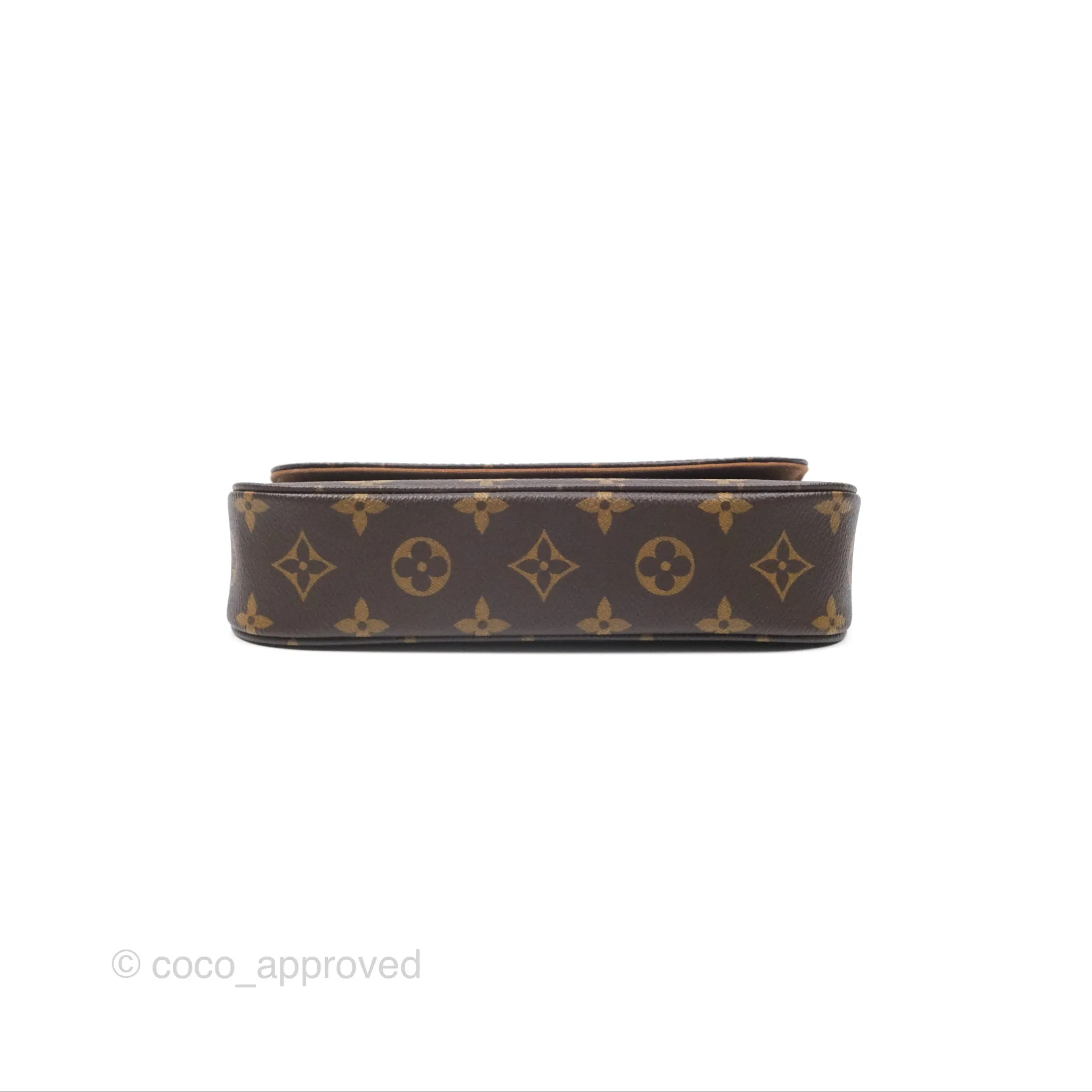 Louis Vuitton Ivy Wallet on Chain Monogram Canvas