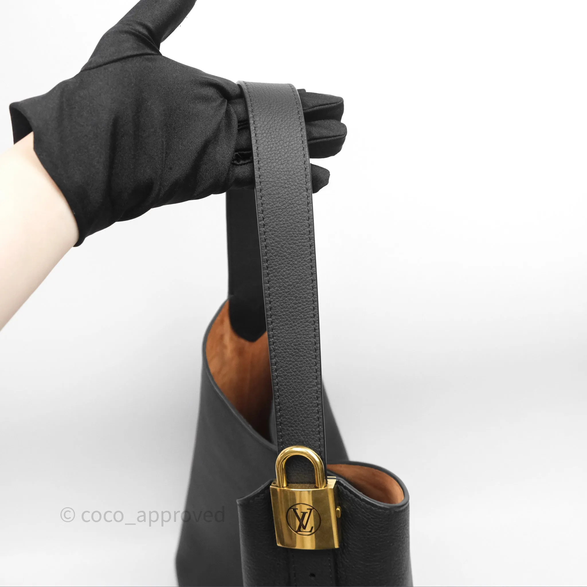 Louis Vuitton Low Key Hobo MM Black Grained Calfskin