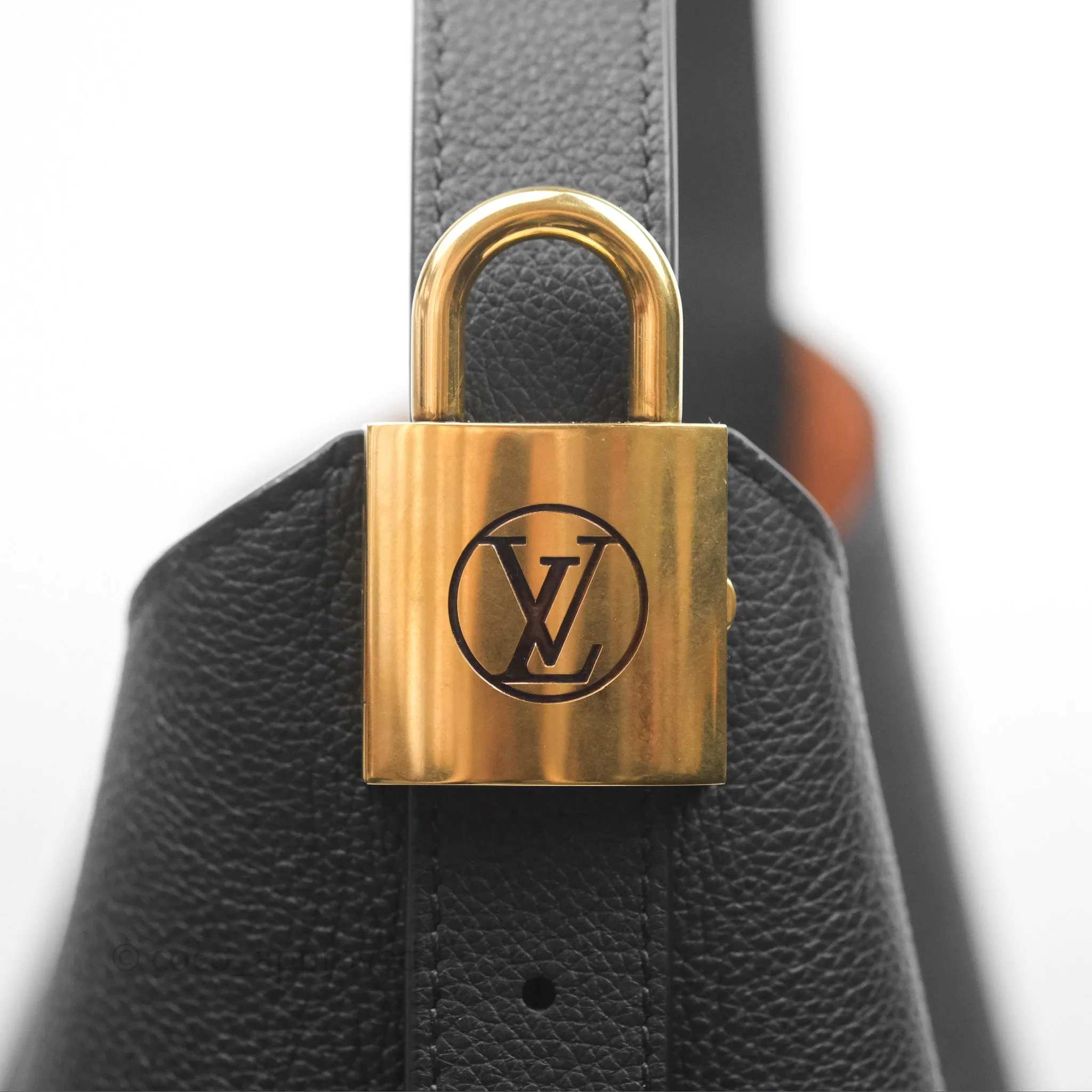 Louis Vuitton Low Key Hobo MM Black Grained Calfskin