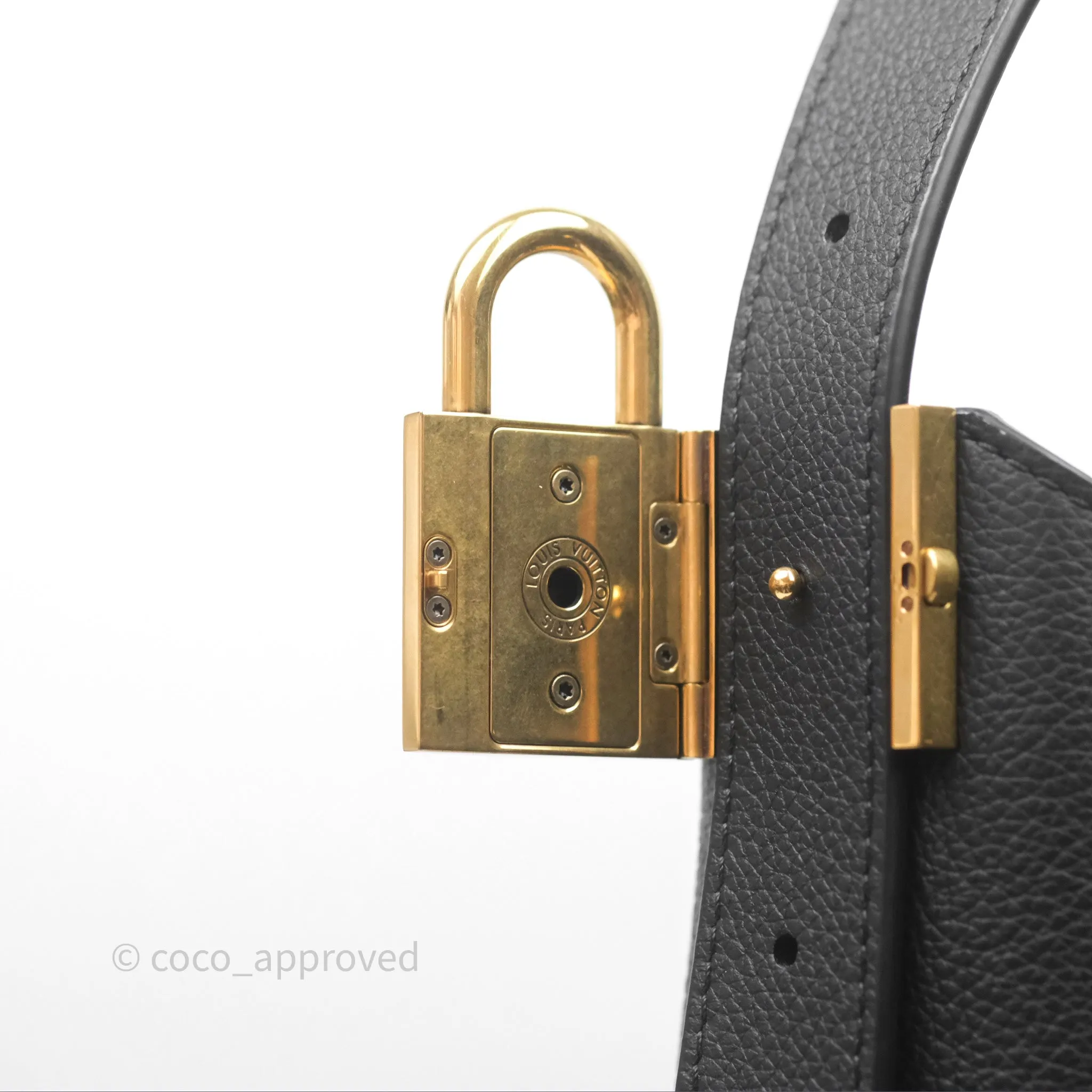 Louis Vuitton Low Key Hobo MM Black Grained Calfskin