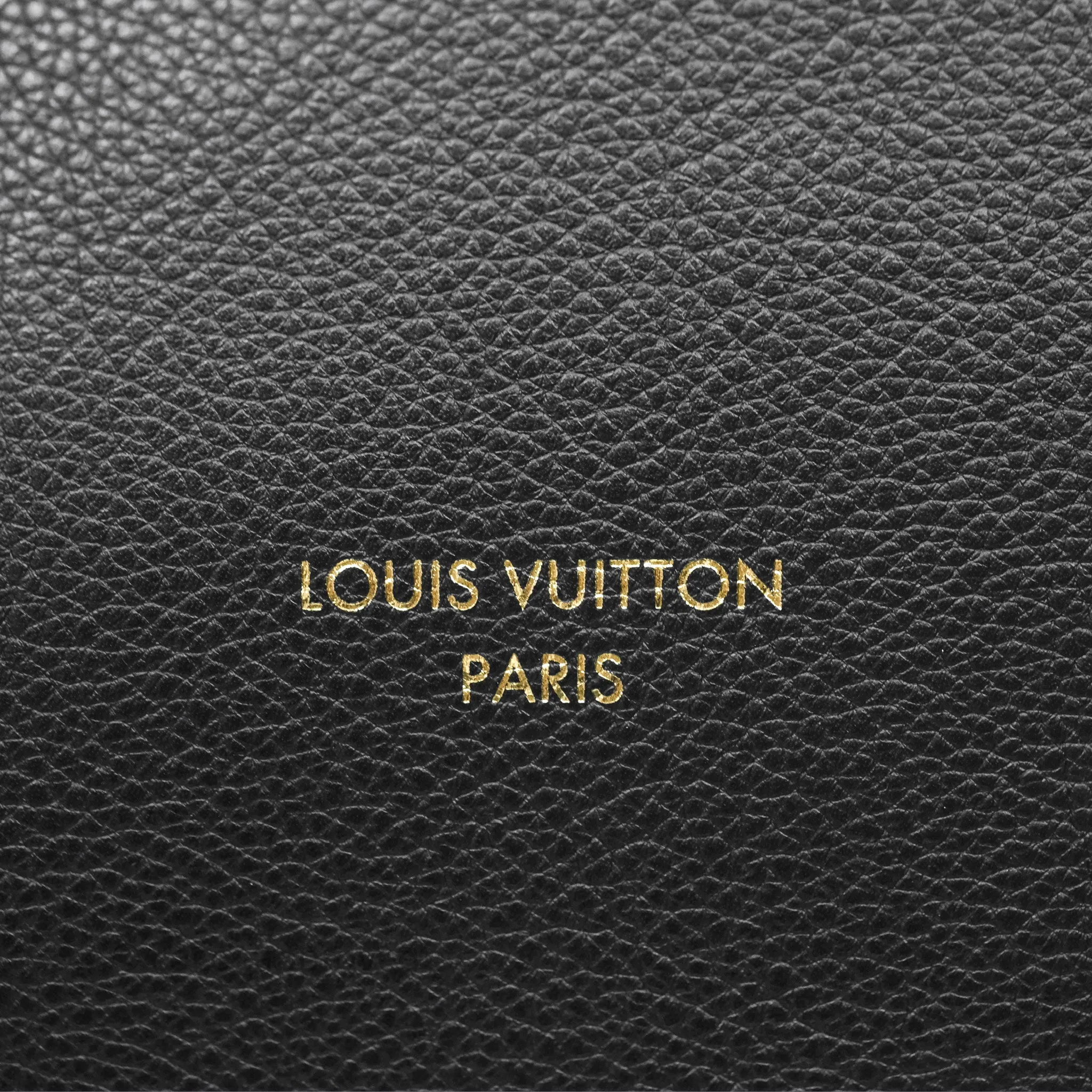 Louis Vuitton Low Key Hobo MM Black Grained Calfskin