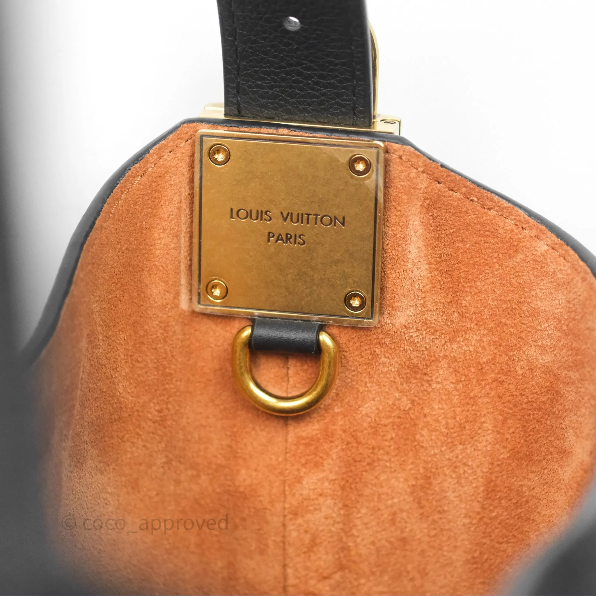 Louis Vuitton Low Key Hobo MM Black Grained Calfskin