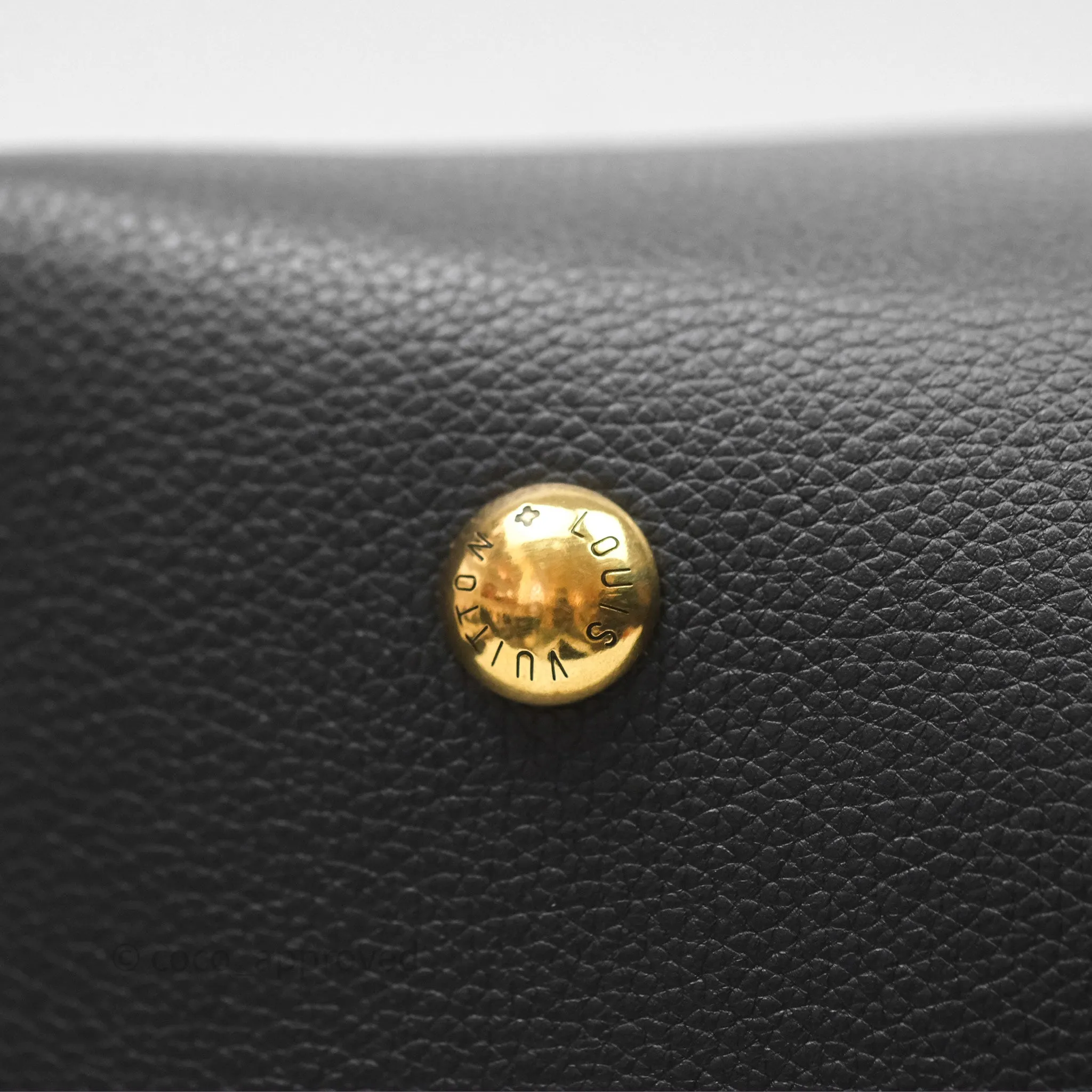 Louis Vuitton Low Key Hobo MM Black Grained Calfskin