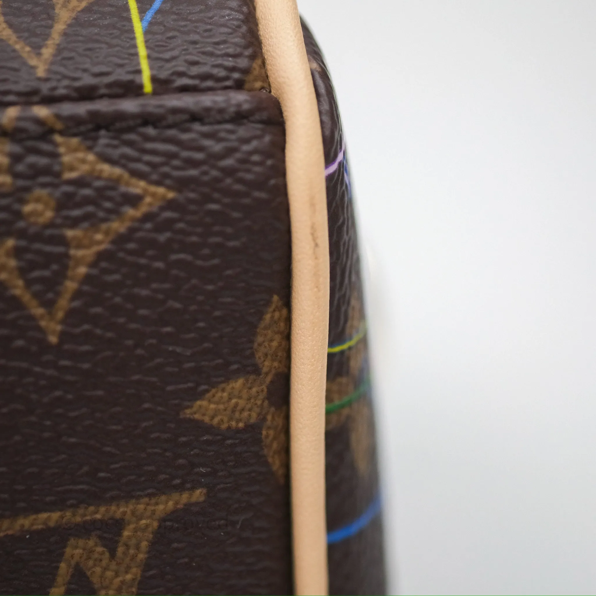Louis Vuitton LV x Murakami Speedy Bandoulire 20 Monogram