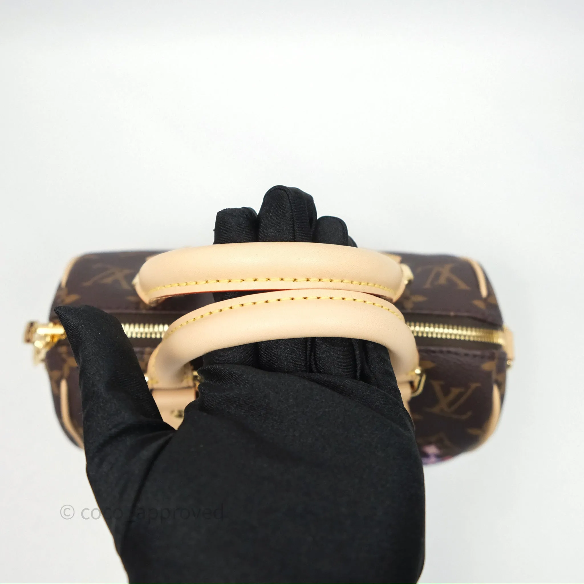 Louis Vuitton LV x Murakami Speedy Bandoulire 20 Monogram