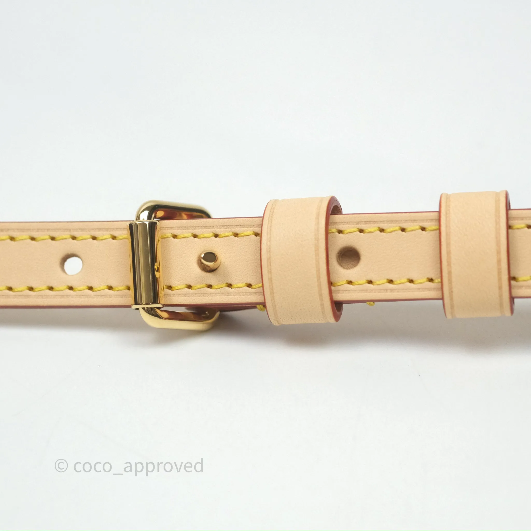 Louis Vuitton LV x Murakami Speedy Bandoulire 20 Monogram