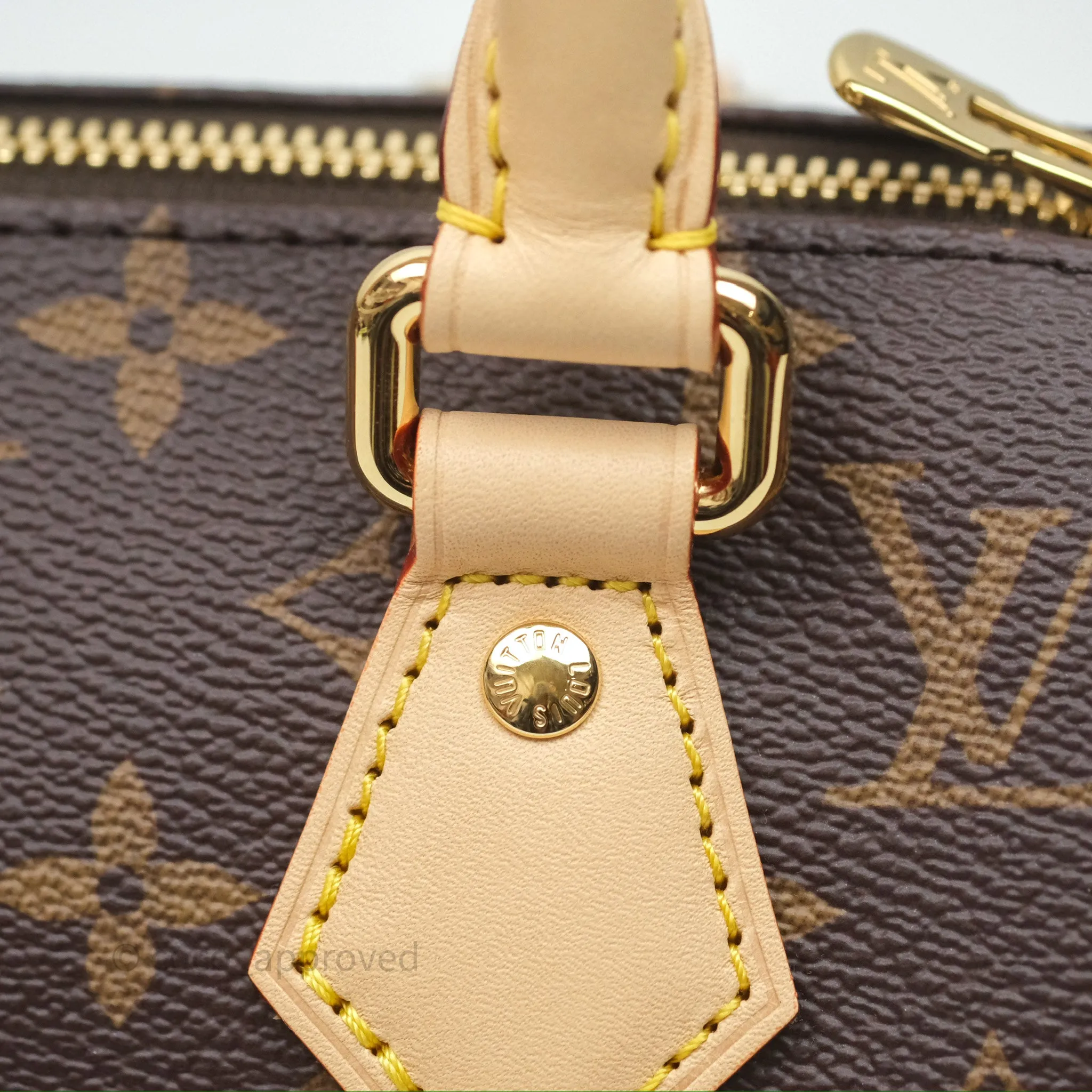 Louis Vuitton LV x Murakami Speedy Bandoulire 20 Monogram