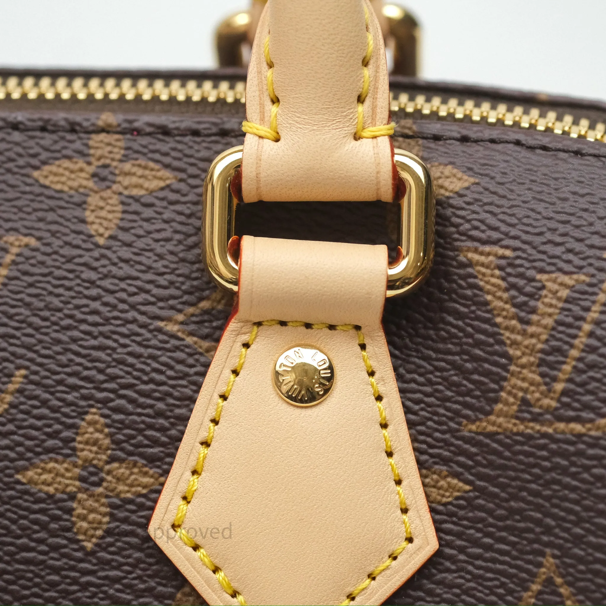 Louis Vuitton LV x Murakami Speedy Bandoulire 20 Monogram