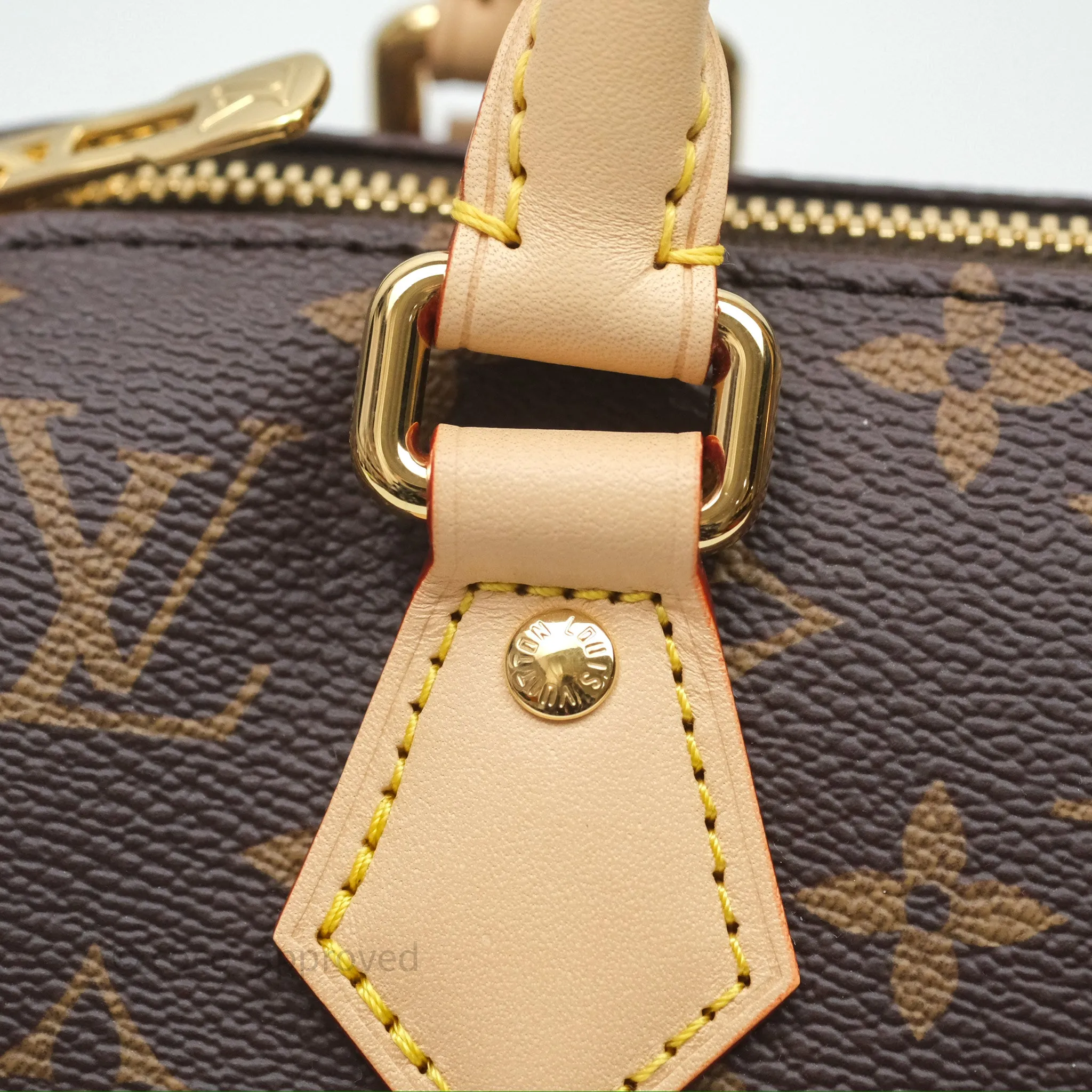 Louis Vuitton LV x Murakami Speedy Bandoulire 20 Monogram