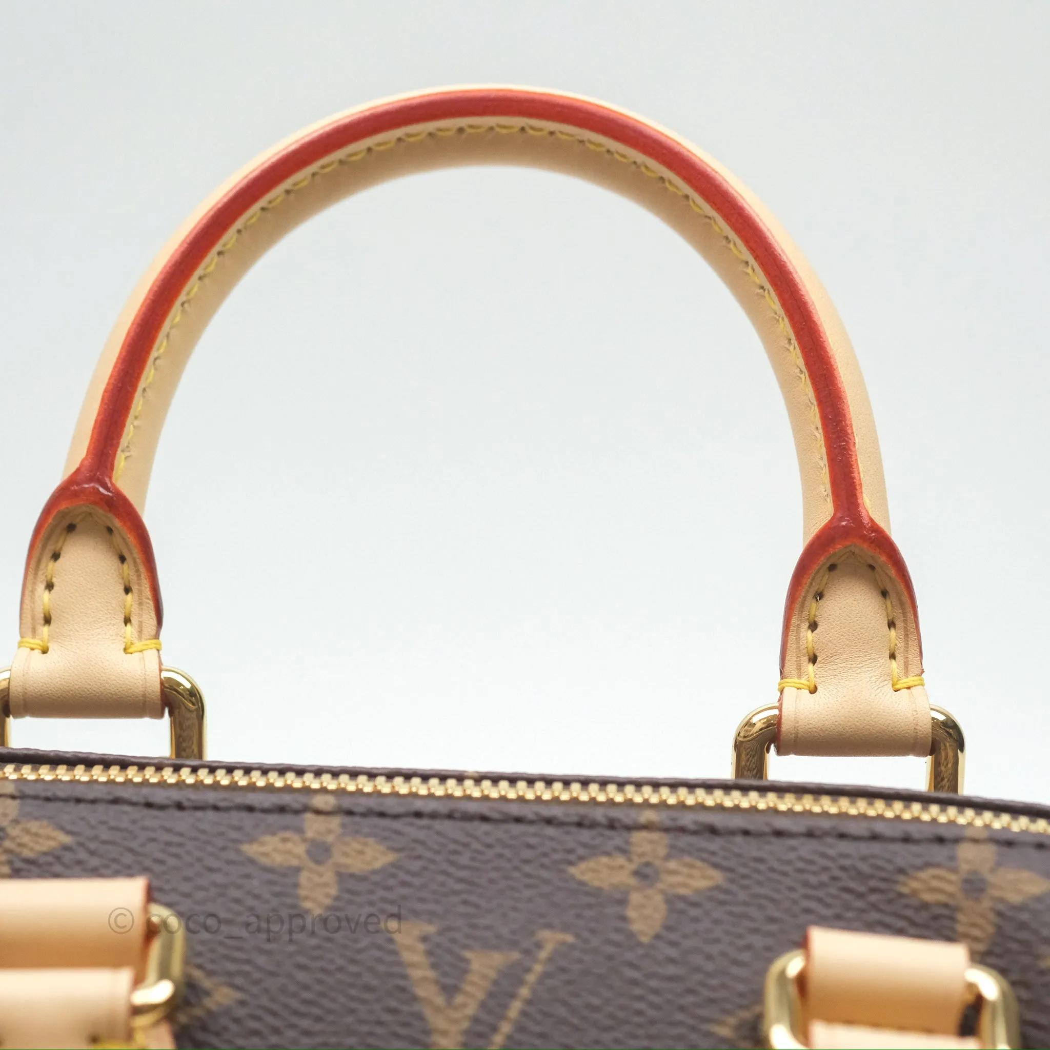Louis Vuitton LV x Murakami Speedy Bandoulire 20 Monogram