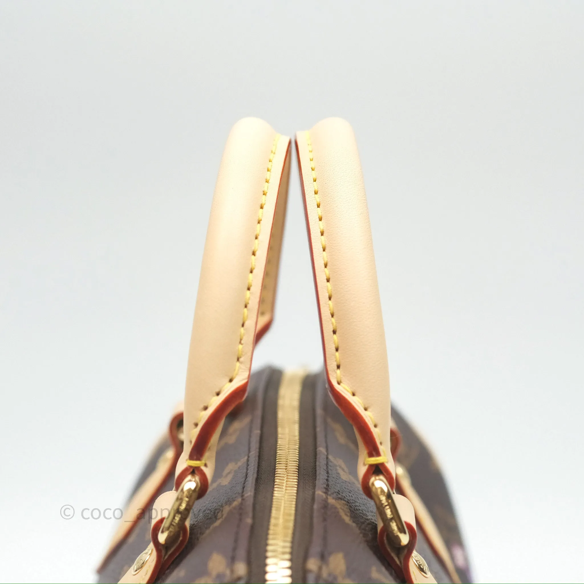 Louis Vuitton LV x Murakami Speedy Bandoulire 20 Monogram