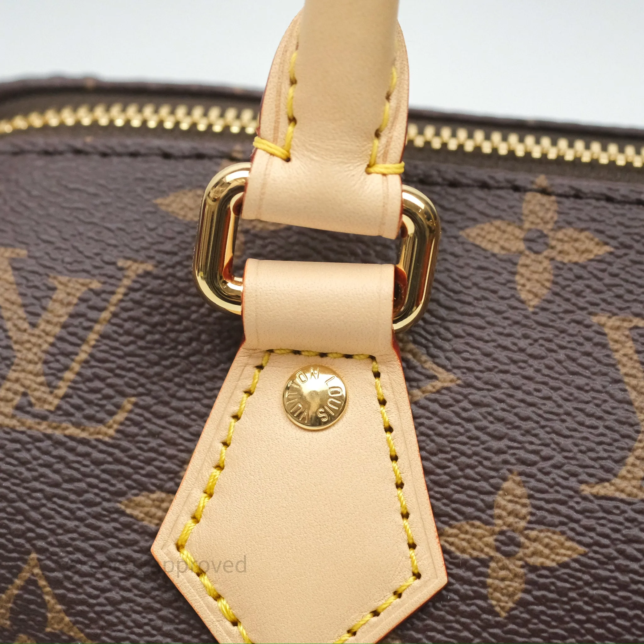 Louis Vuitton LV x Murakami Speedy Bandoulire 20 Monogram