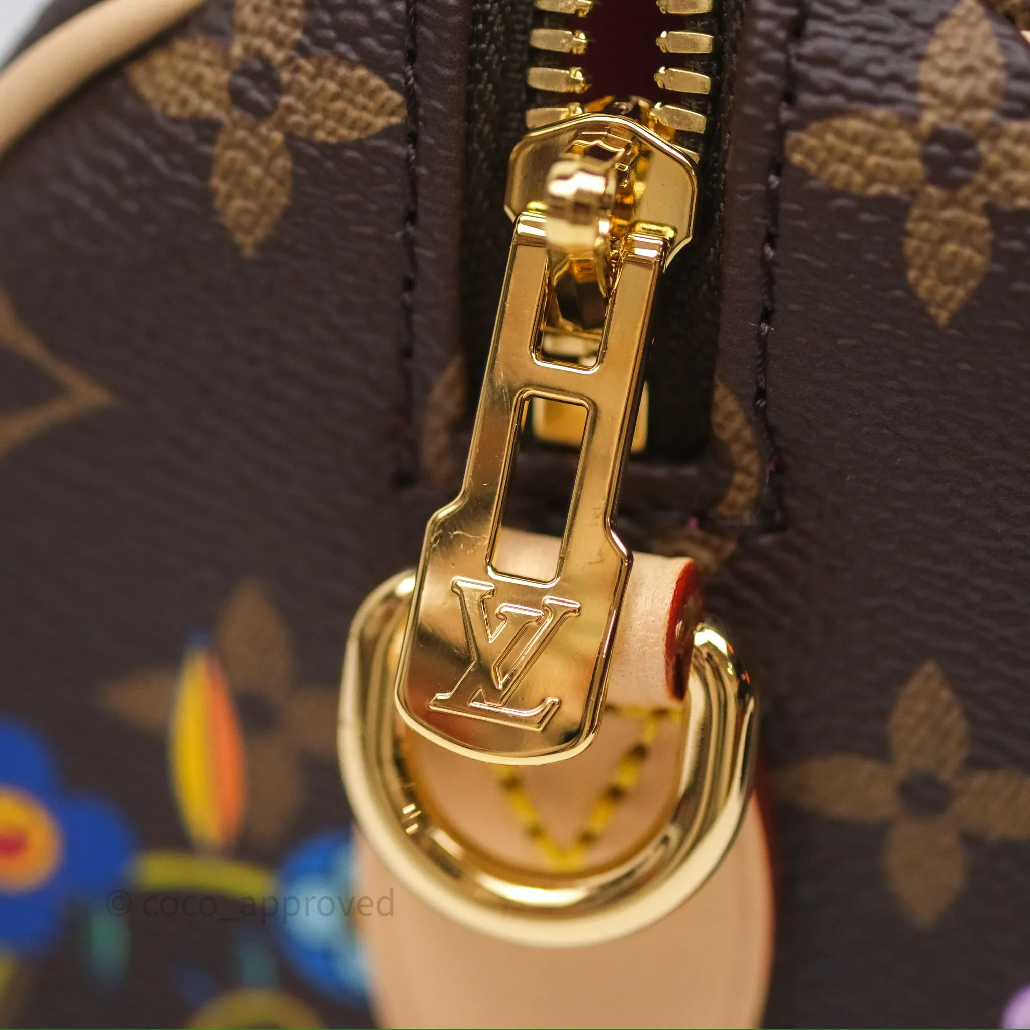 Louis Vuitton LV x Murakami Speedy Bandoulire 20 Monogram