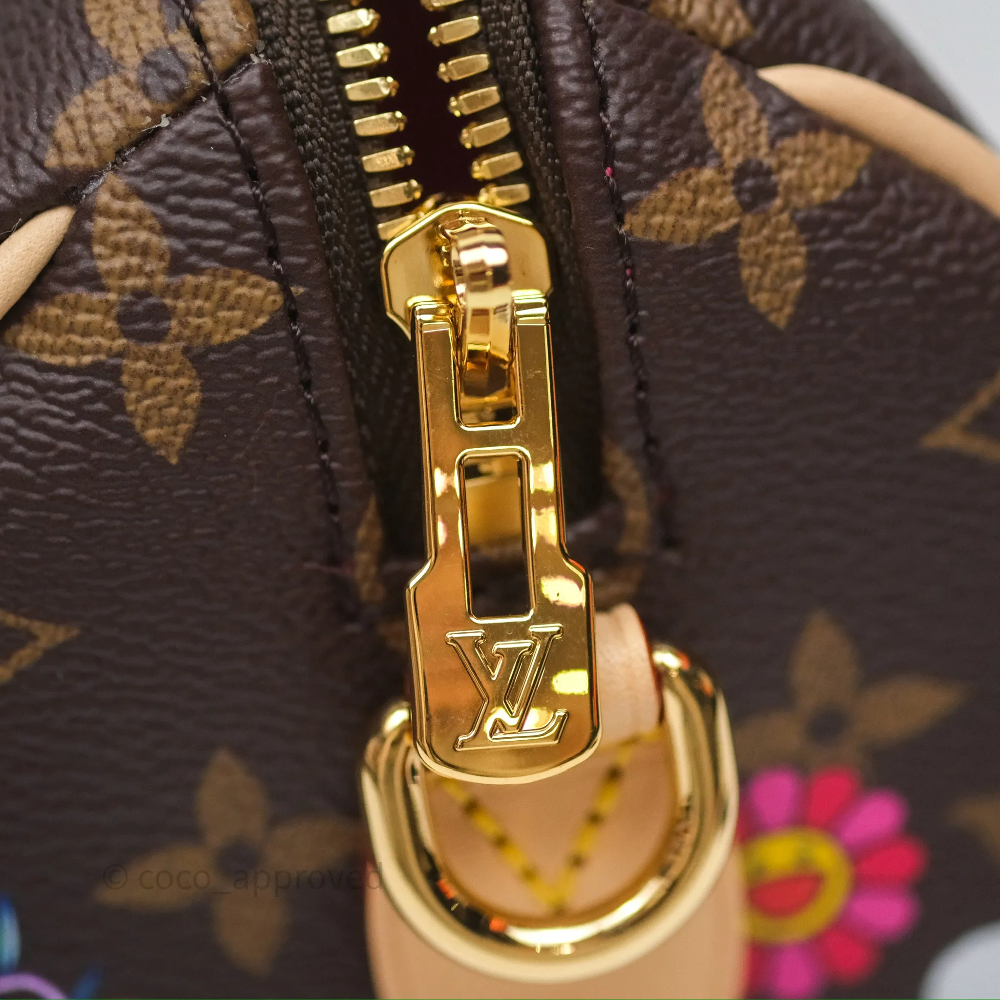 Louis Vuitton LV x Murakami Speedy Bandoulire 20 Monogram