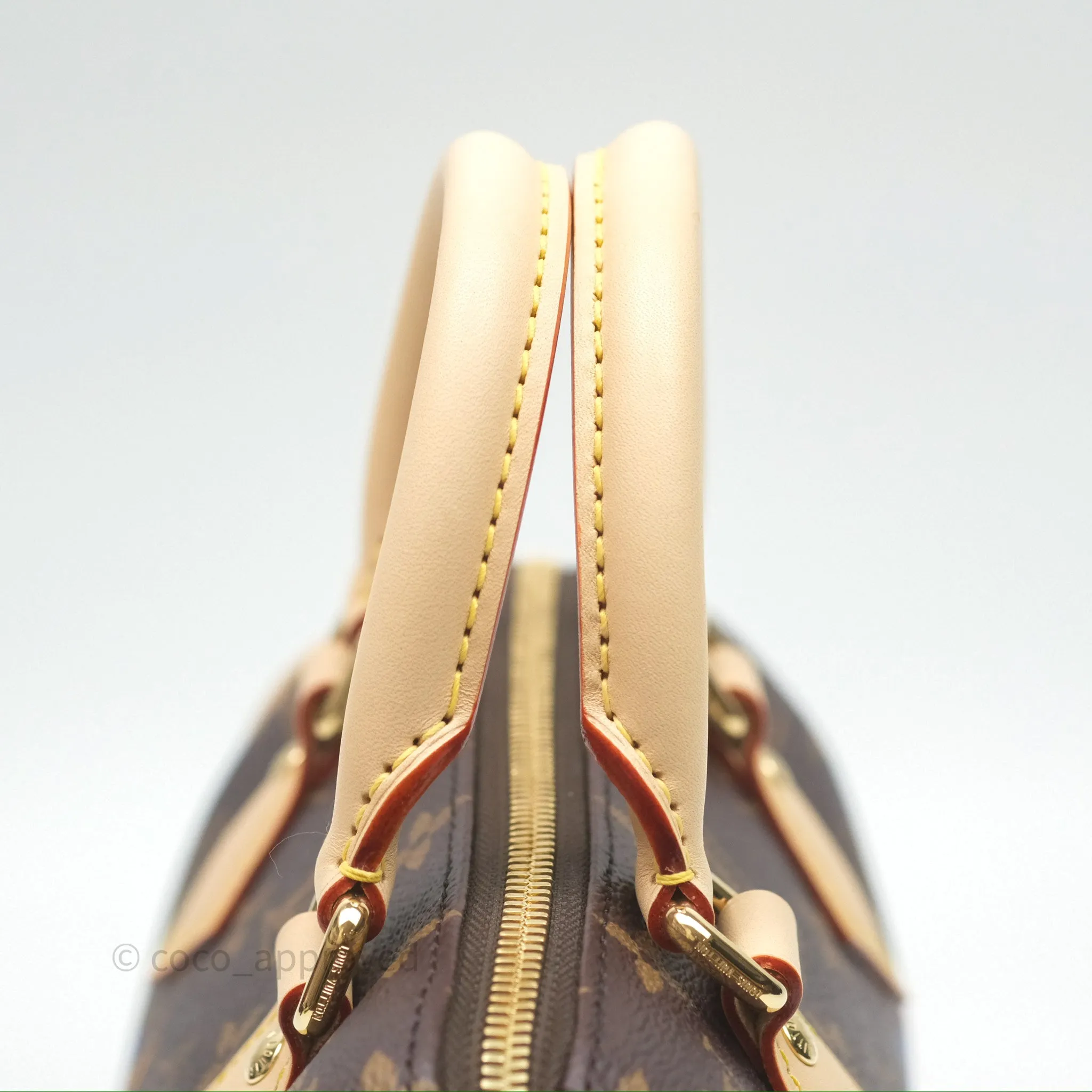 Louis Vuitton LV x Murakami Speedy Bandoulire 20 Monogram