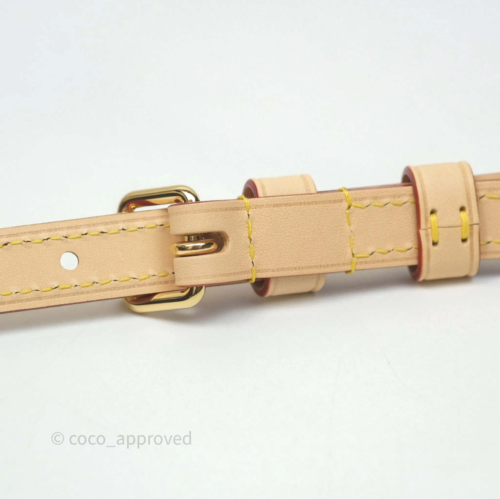 Louis Vuitton LV x Murakami Speedy Bandoulire 20 Monogram