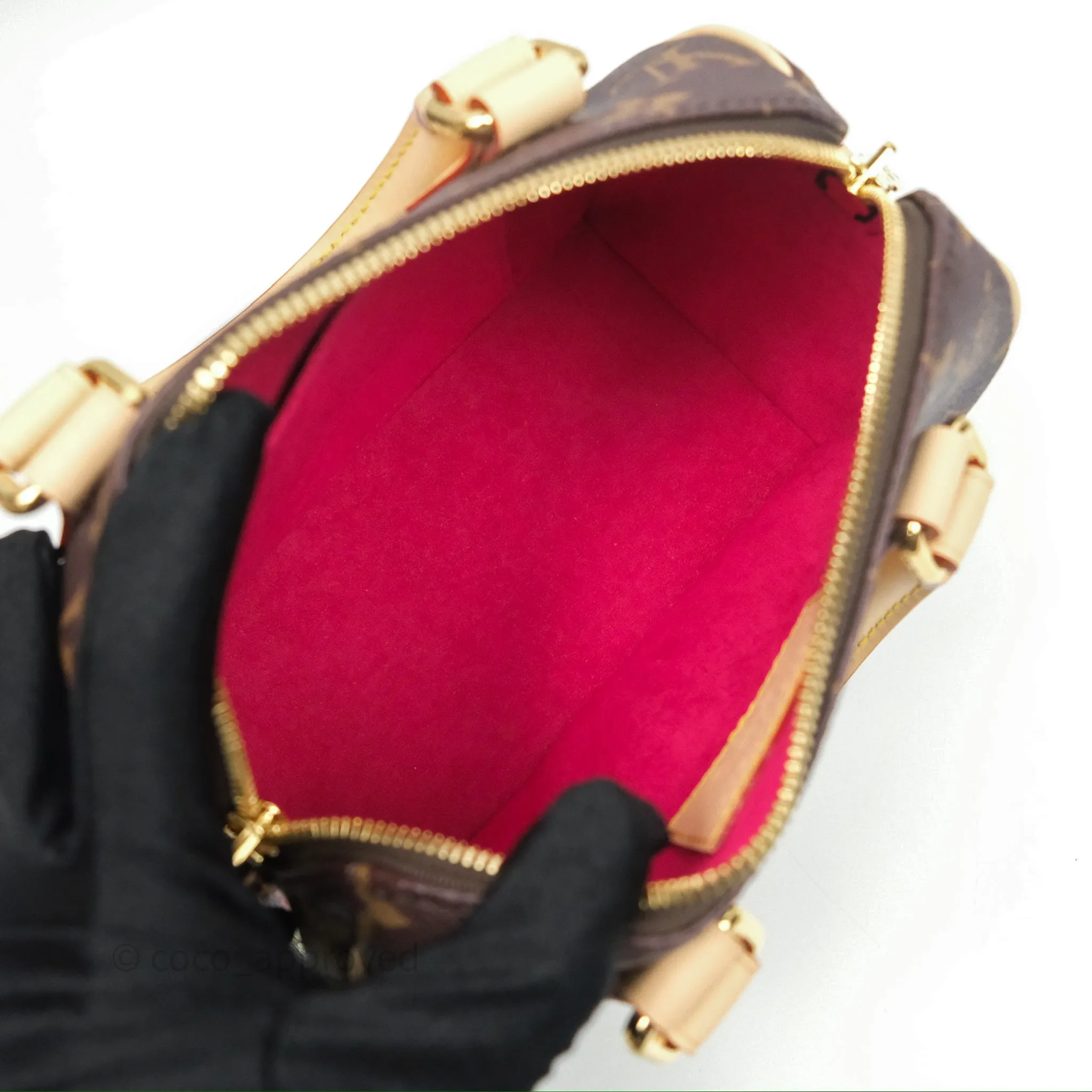 Louis Vuitton LV x Murakami Speedy Bandoulire 20 Monogram
