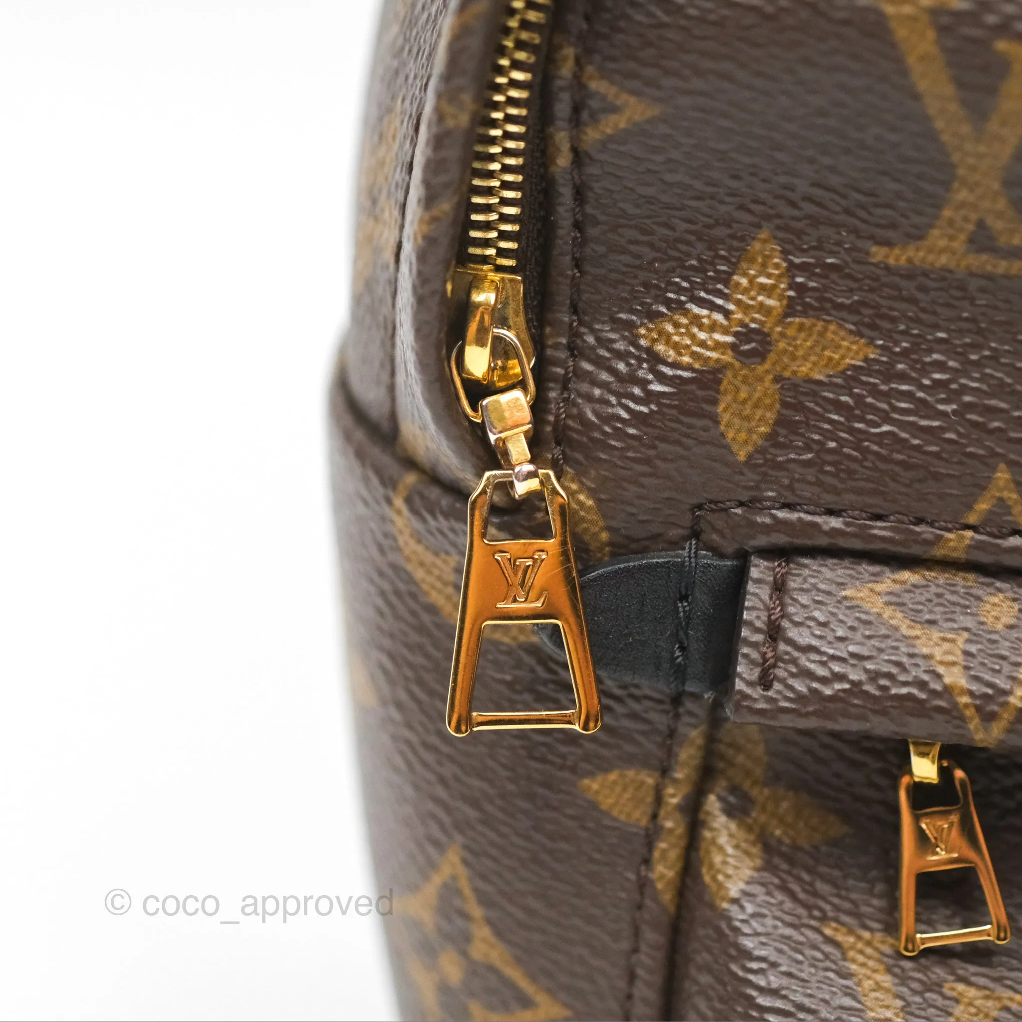 Louis Vuitton Mini Palm Springs Backpack Monogram