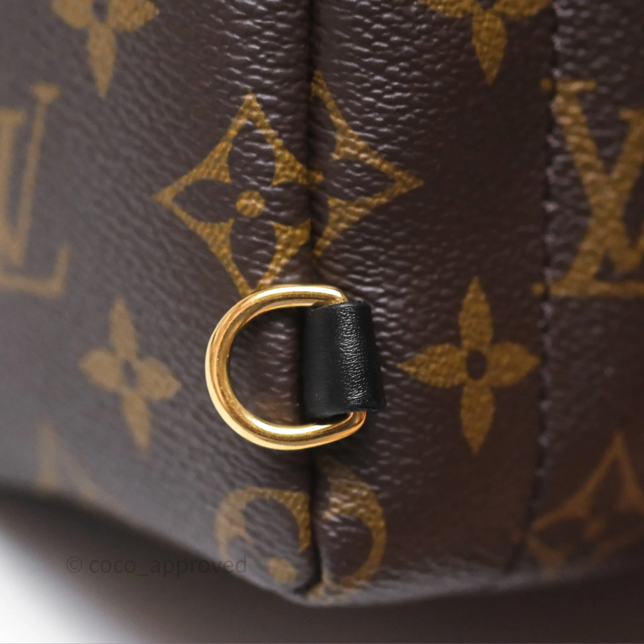 Louis Vuitton Mini Palm Springs Backpack Monogram