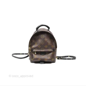 Louis Vuitton Mini Palm Springs Backpack Monogram