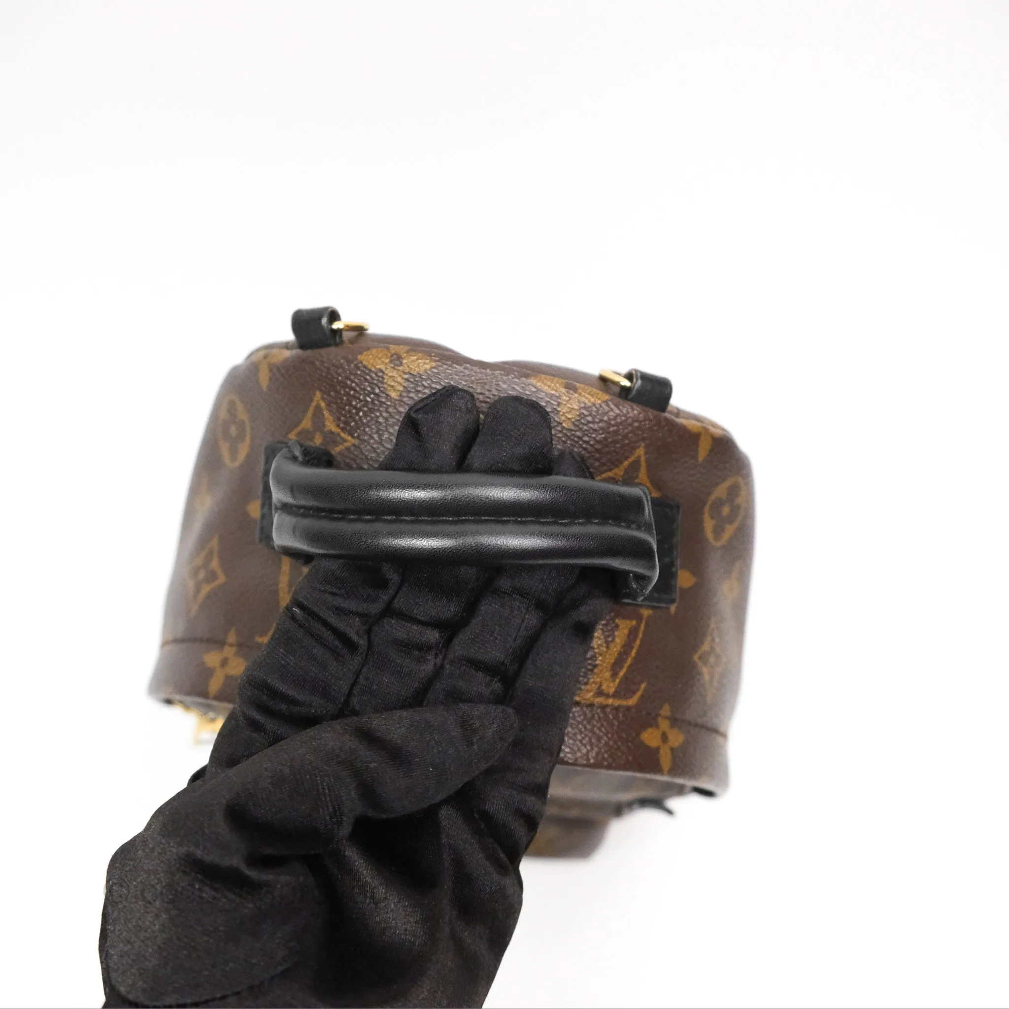 Louis Vuitton Mini Palm Springs Backpack Monogram