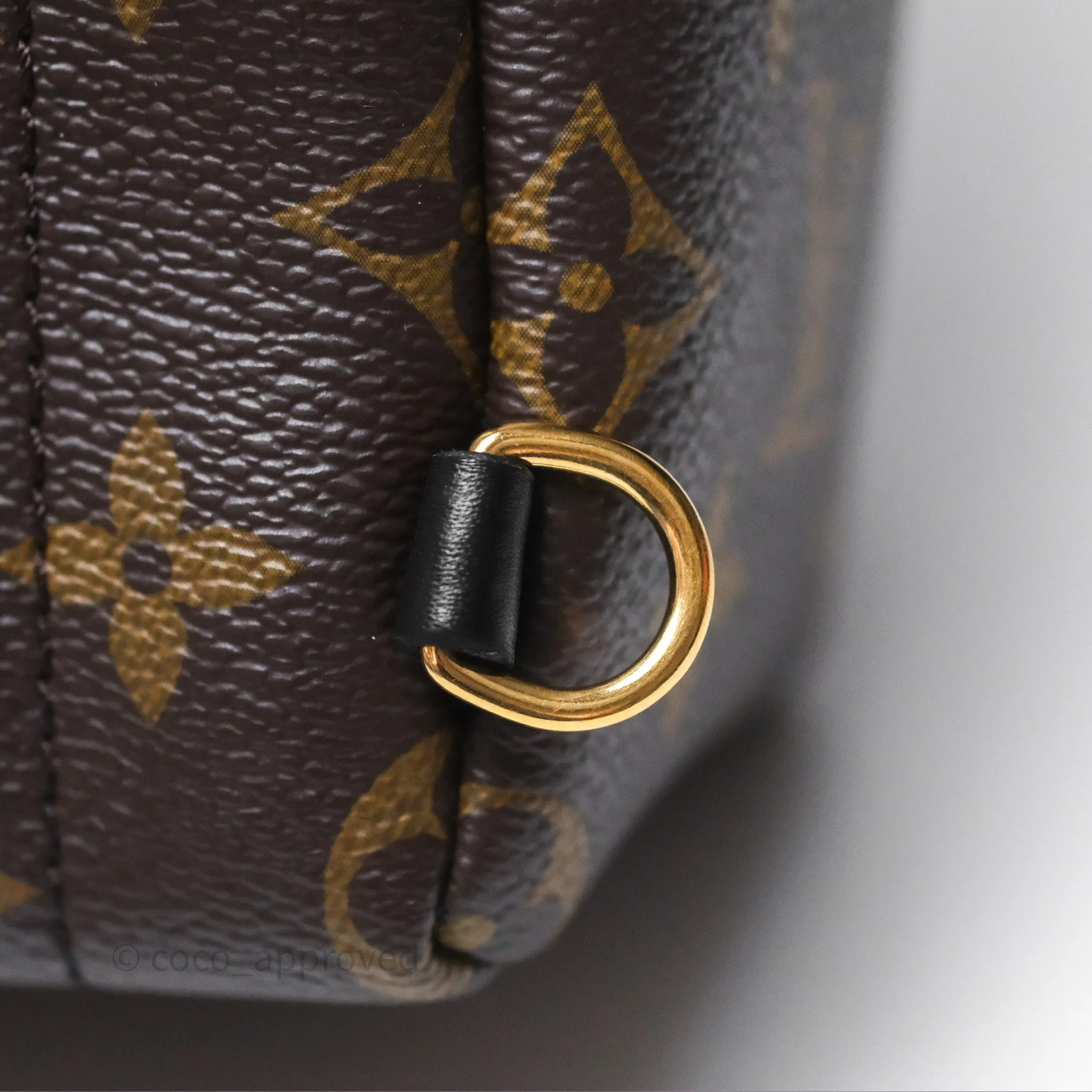 Louis Vuitton Mini Palm Springs Backpack Monogram