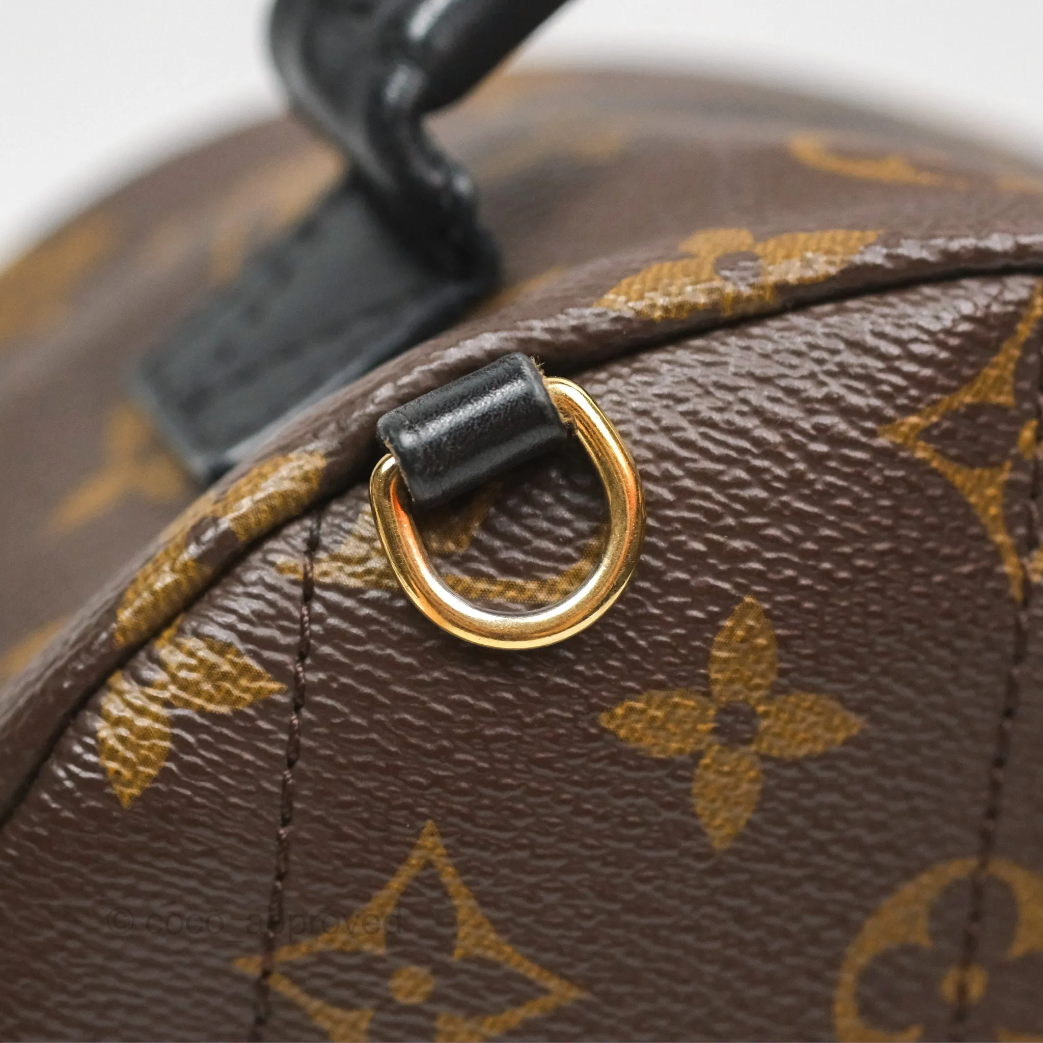 Louis Vuitton Mini Palm Springs Backpack Monogram