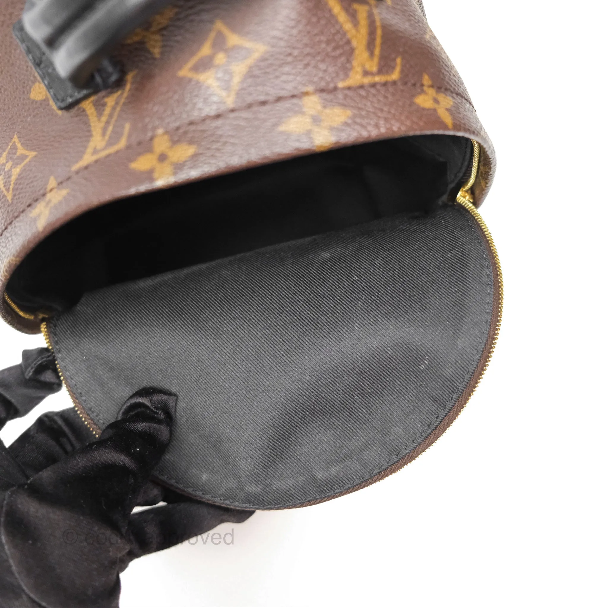 Louis Vuitton Mini Palm Springs Backpack Monogram