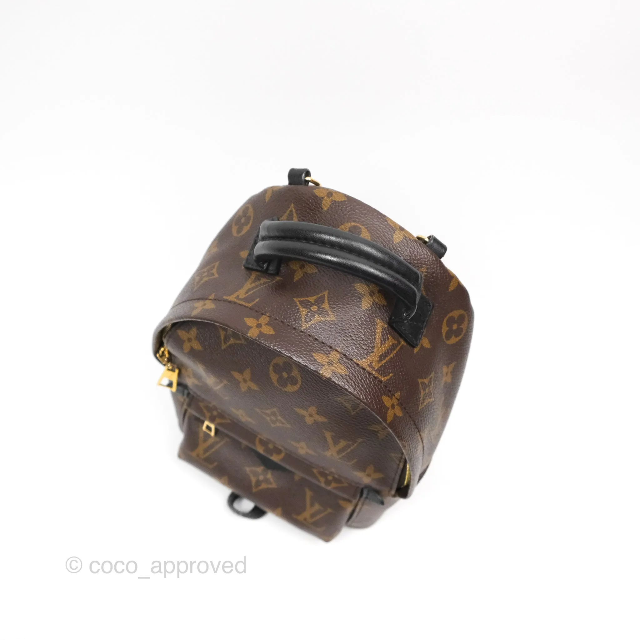 Louis Vuitton Mini Palm Springs Backpack Monogram