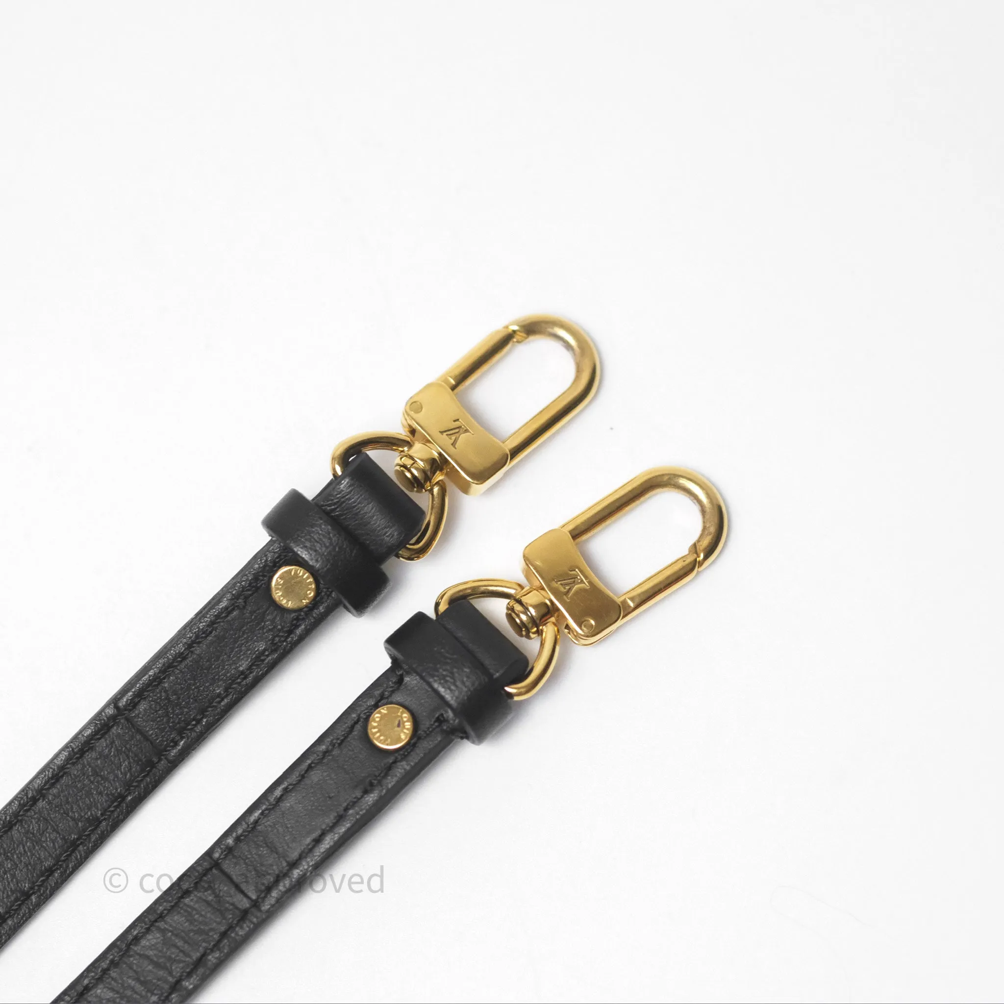 Louis Vuitton Mini Palm Springs Backpack Monogram