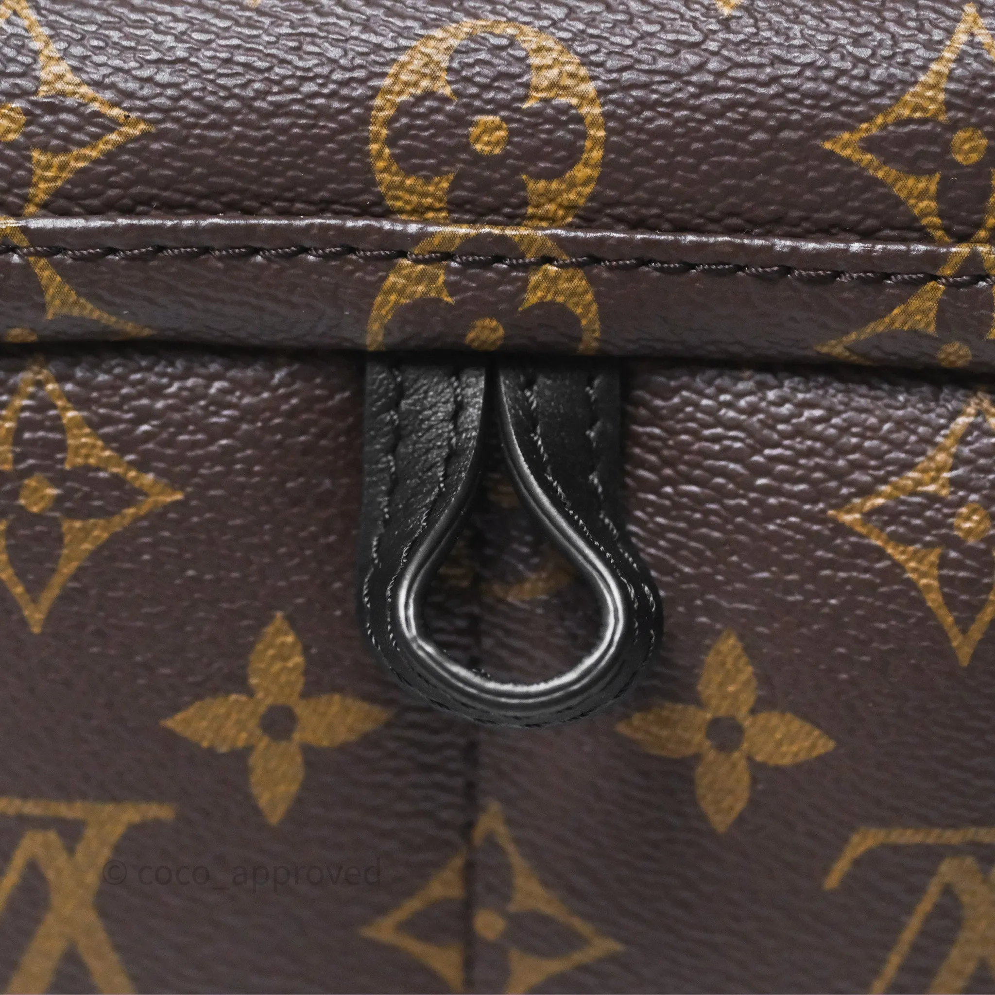 Louis Vuitton Mini Palm Springs Backpack Monogram
