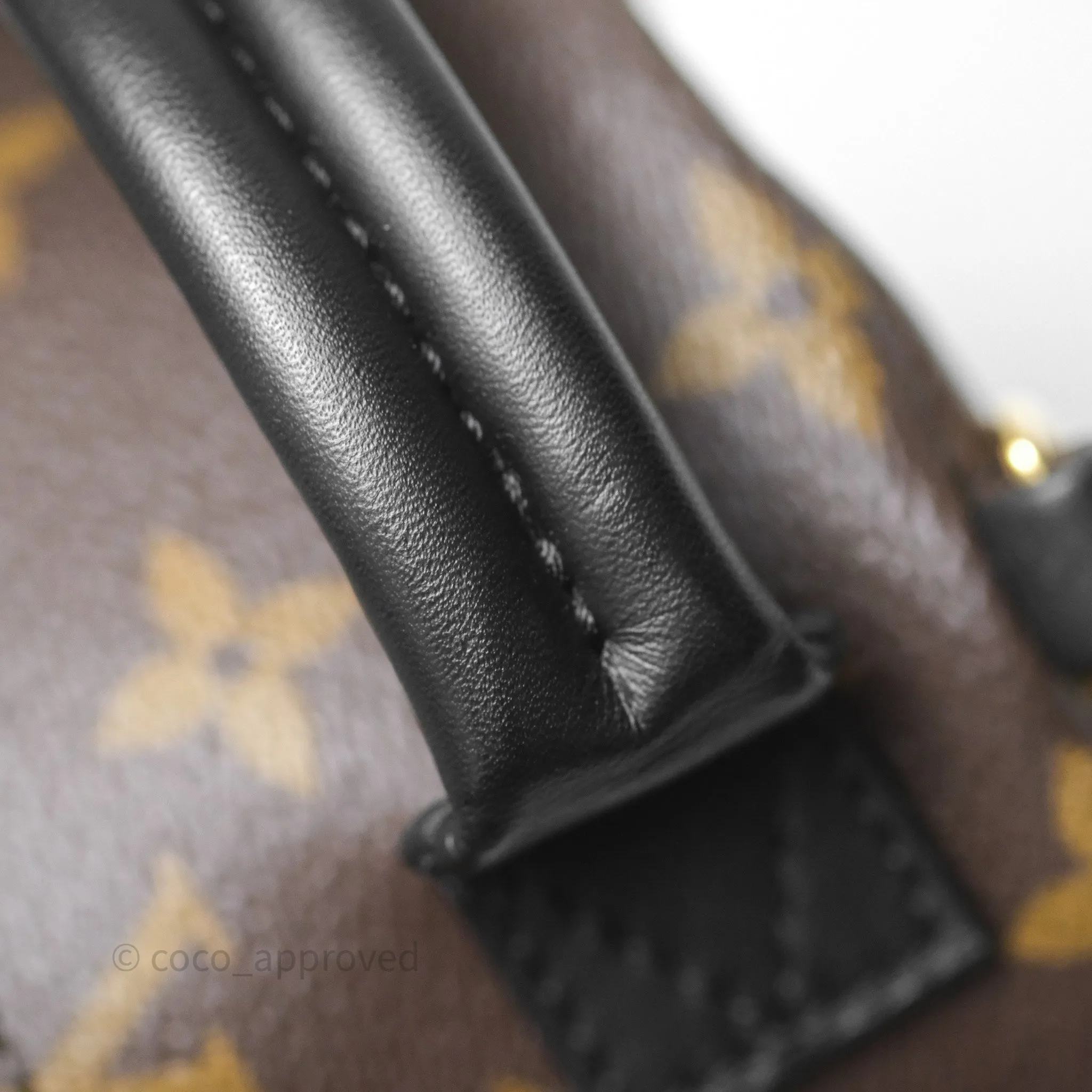 Louis Vuitton Mini Palm Springs Backpack Monogram