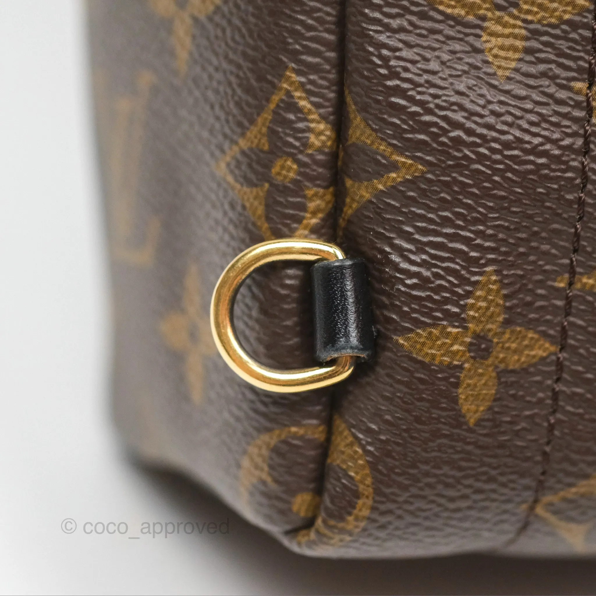 Louis Vuitton Mini Palm Springs Backpack Monogram