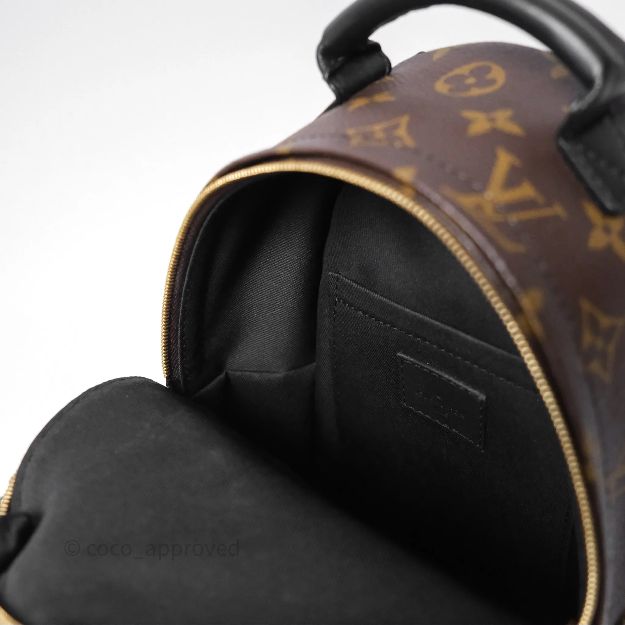 Louis Vuitton Mini Palm Springs Backpack Monogram