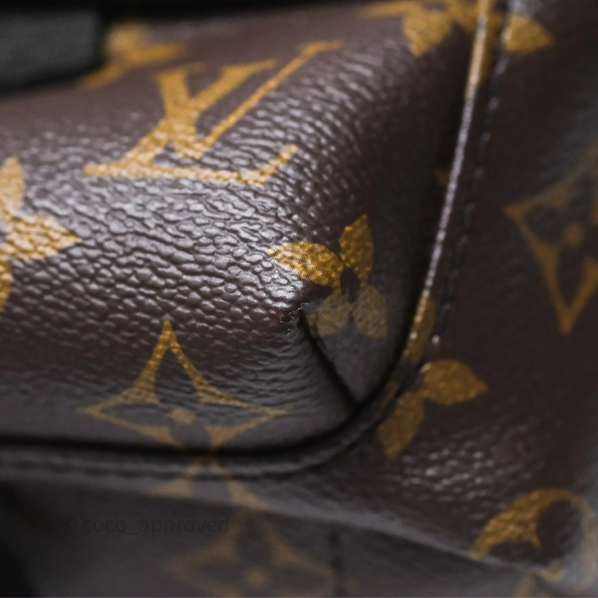 Louis Vuitton Mini Palm Springs Backpack Monogram