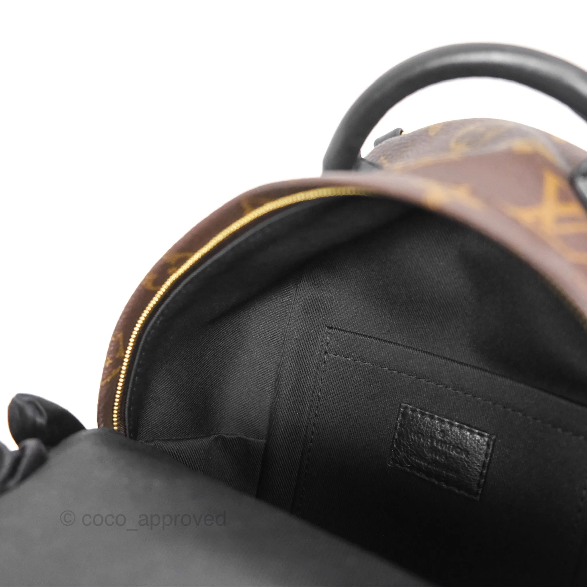 Louis Vuitton Mini Palm Springs Backpack Monogram