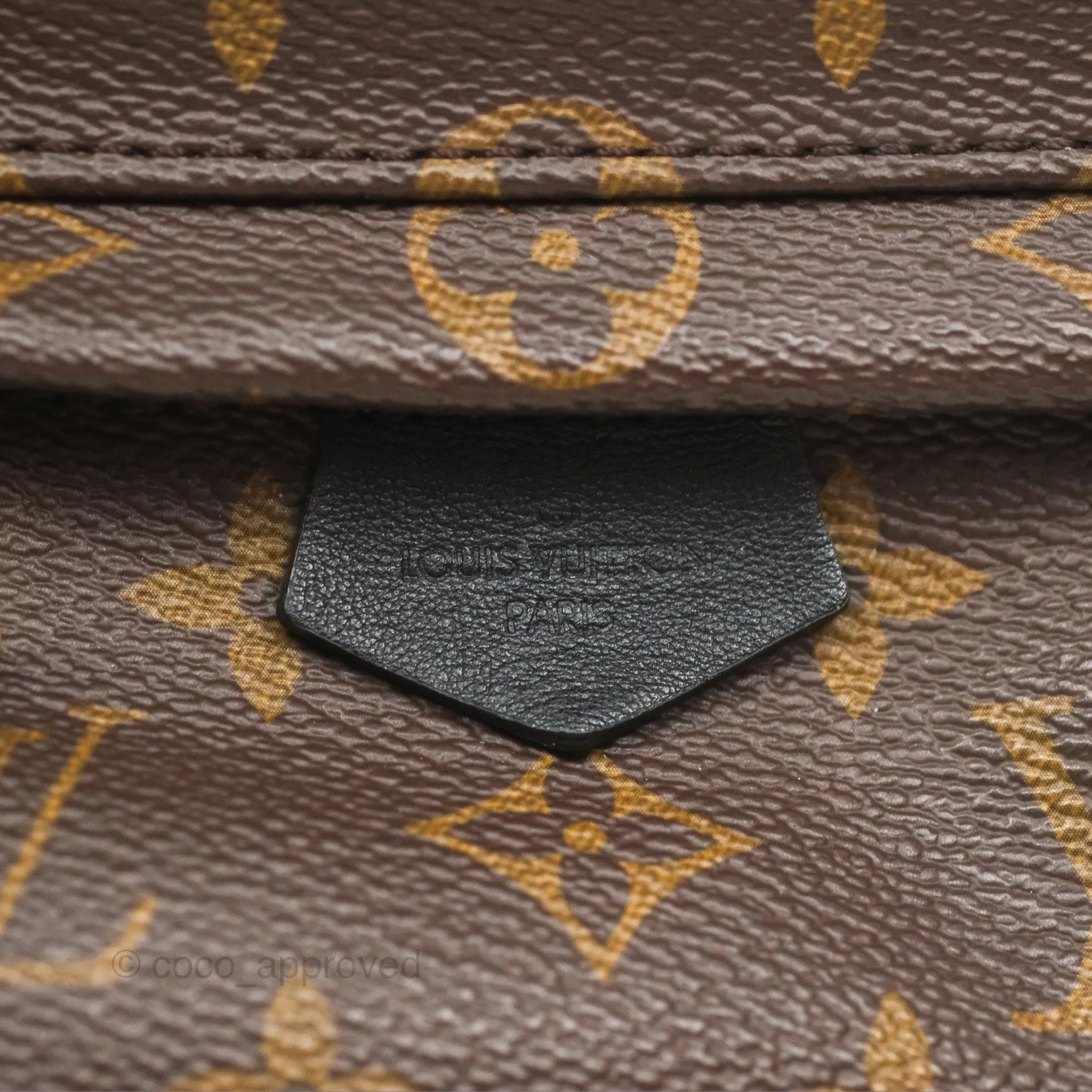 Louis Vuitton Mini Palm Springs Backpack Monogram