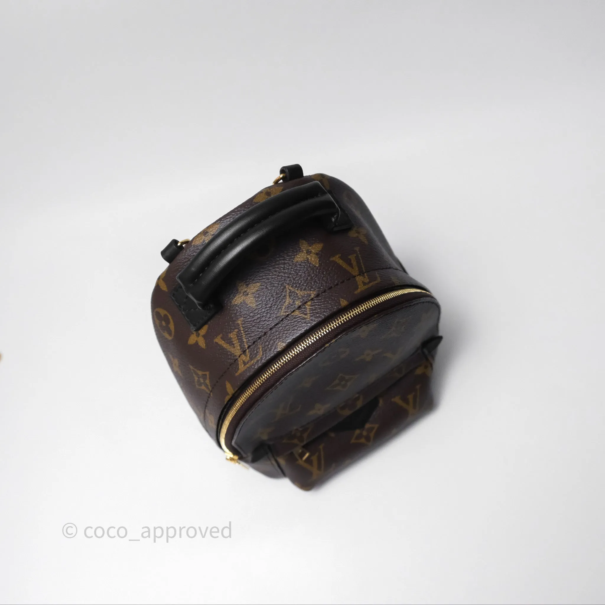 Louis Vuitton Mini Palm Springs Backpack Monogram