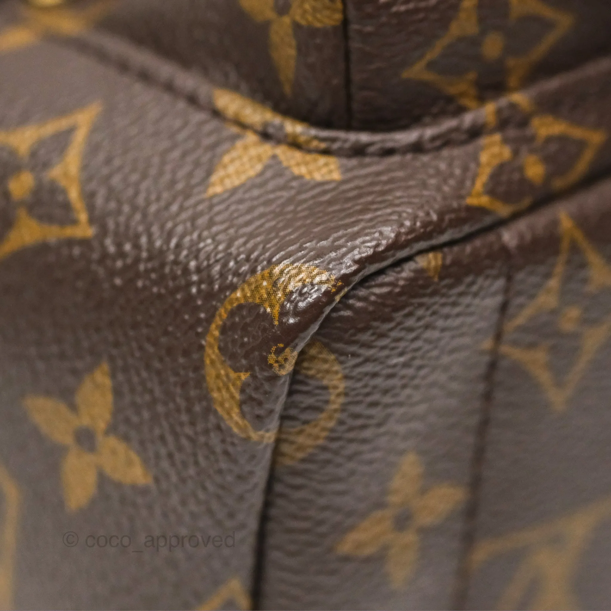 Louis Vuitton Mini Palm Springs Backpack Monogram