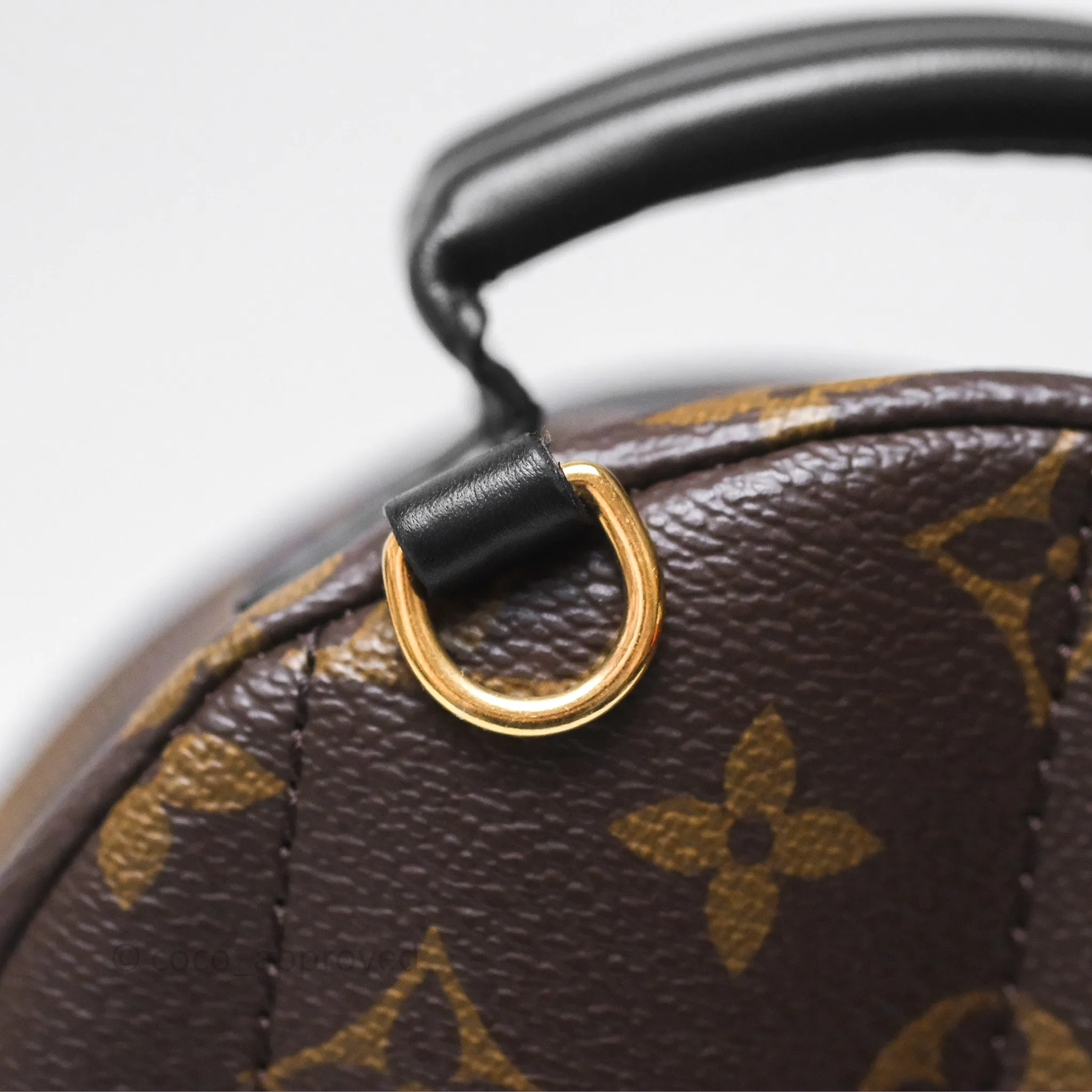 Louis Vuitton Mini Palm Springs Backpack Monogram