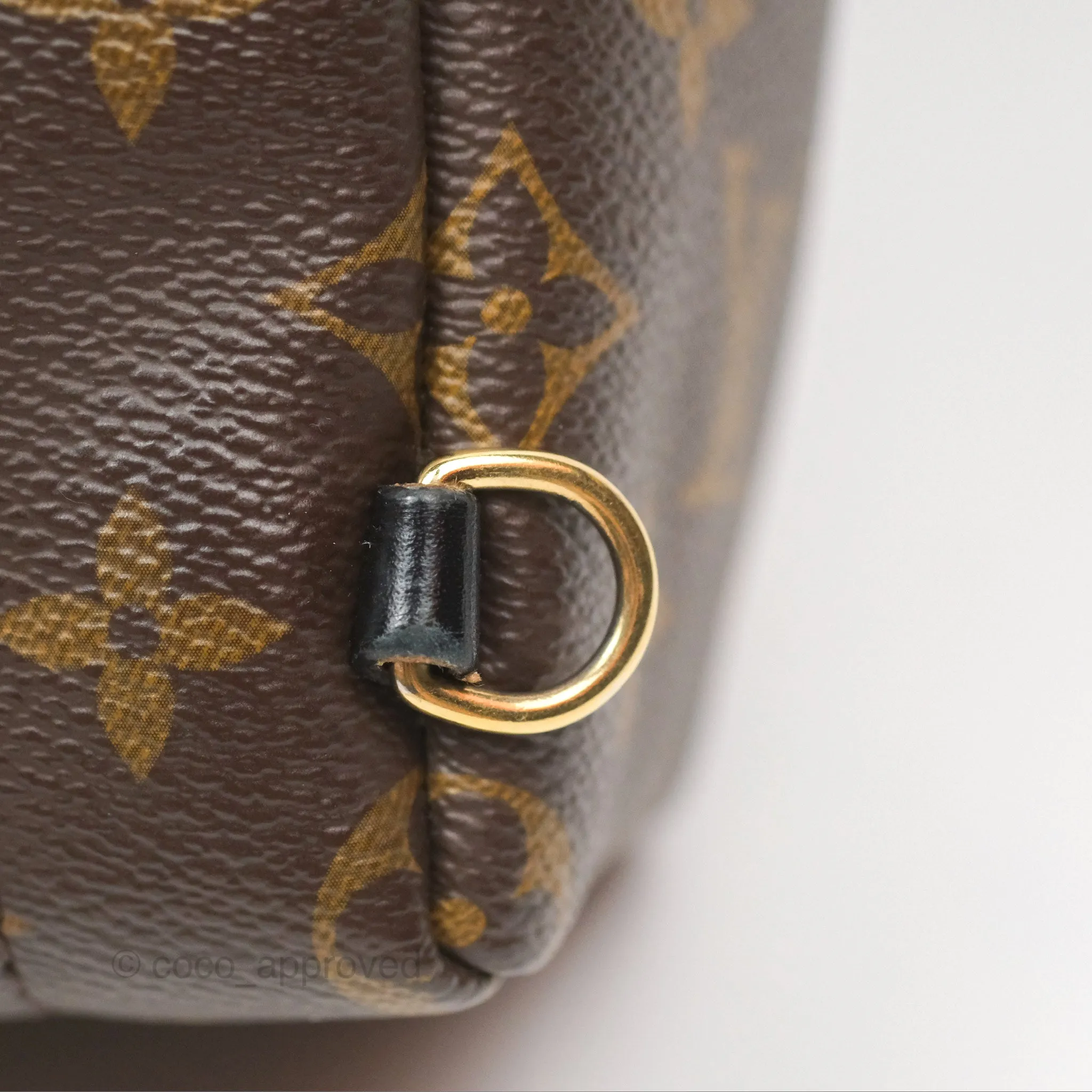 Louis Vuitton Mini Palm Springs Backpack Monogram