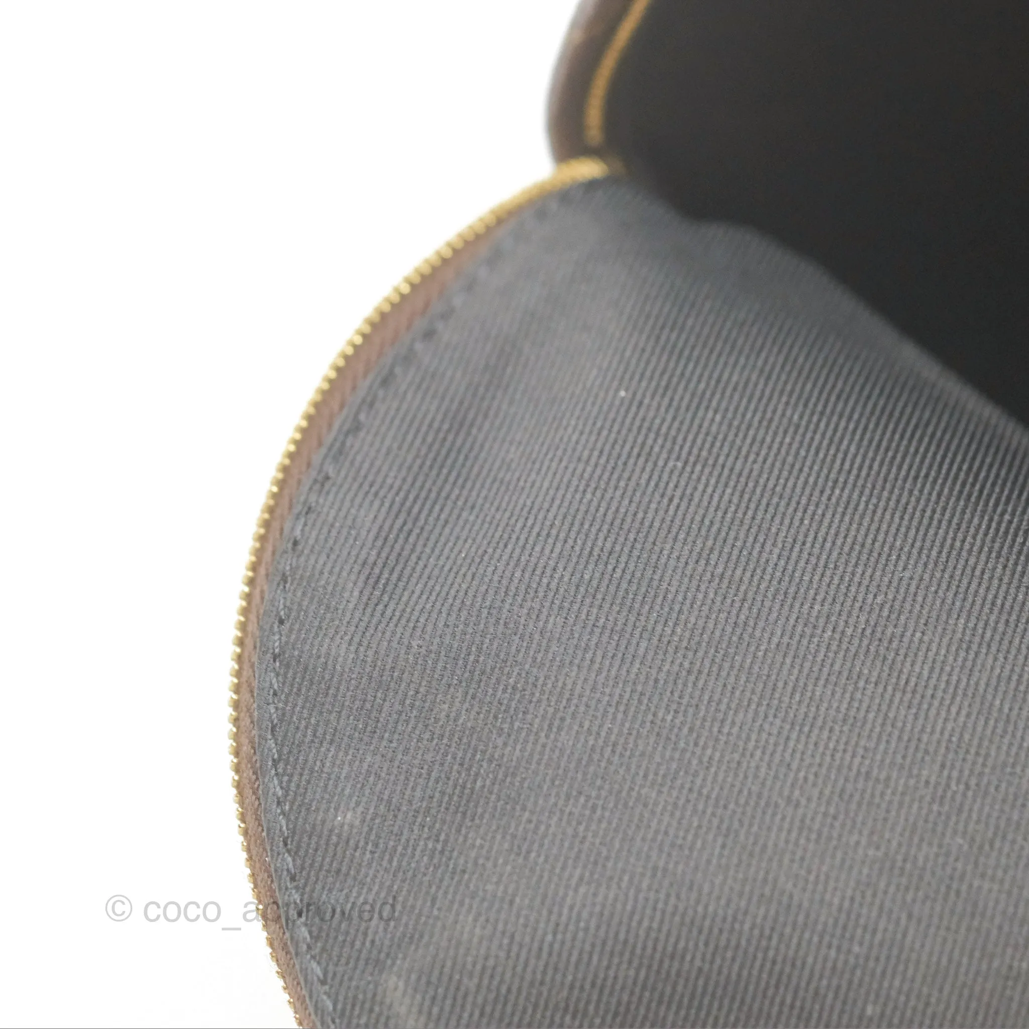 Louis Vuitton Mini Palm Springs Backpack Monogram