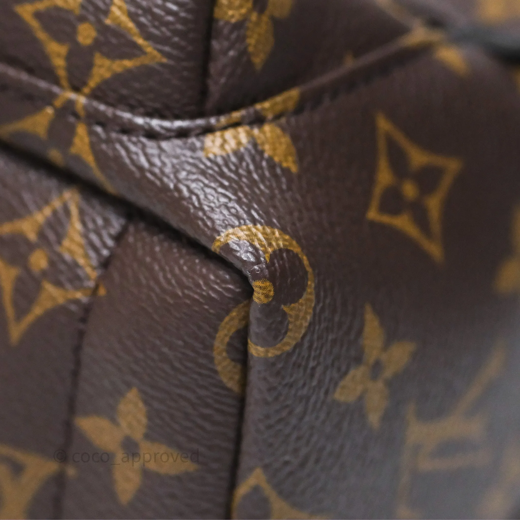 Louis Vuitton Mini Palm Springs Backpack Monogram