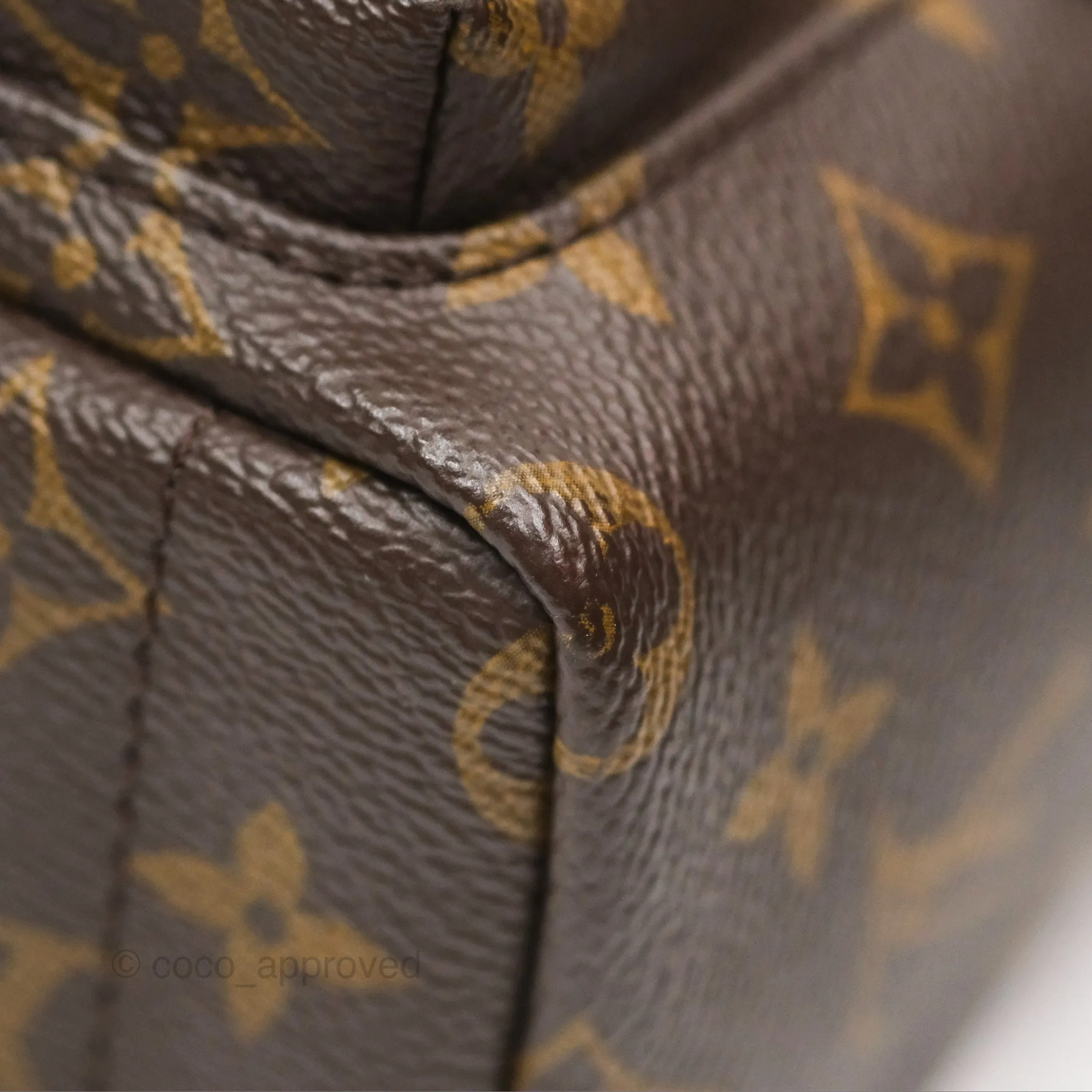 Louis Vuitton Mini Palm Springs Backpack Monogram